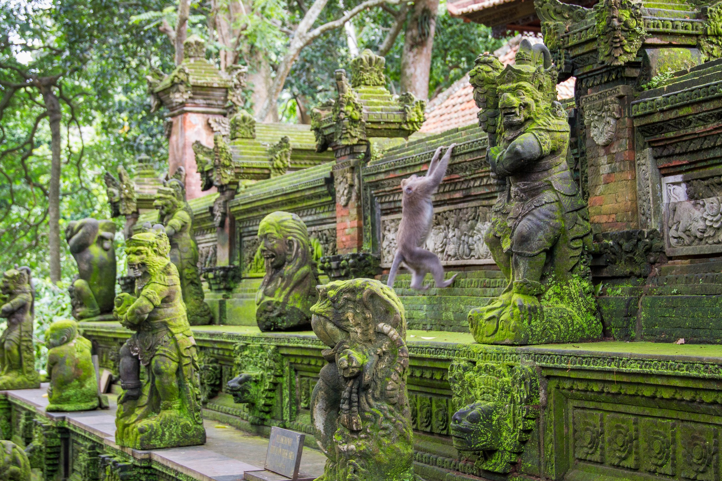 Monkeys climbing moss-covered stone statues in an ancient temple.