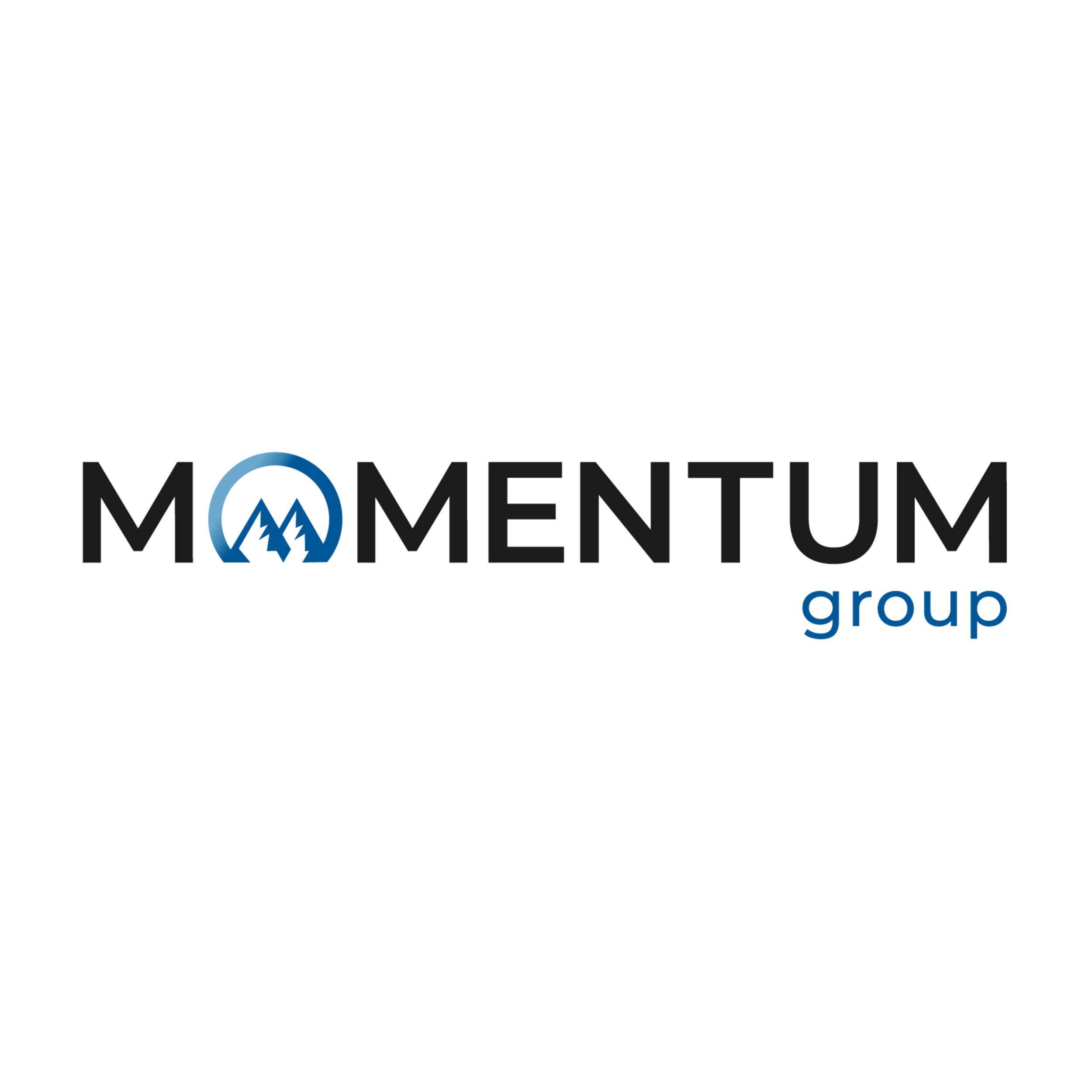 Momentum Group  Trent Mulligan 