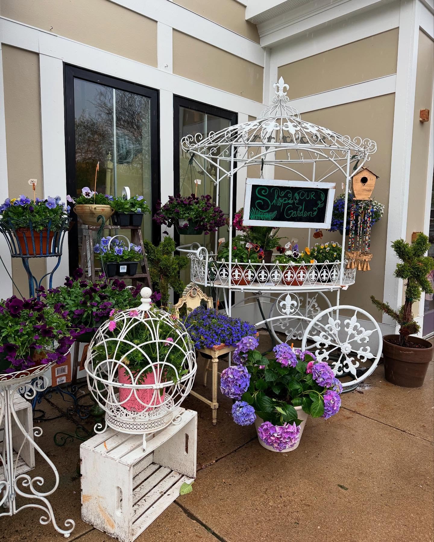 We have more than just flowers for Mother&rsquo;s Day! Come see us to pick out flowers, gifts or plants for the special women in your life 🪻🌸🌺🌻🌷💐🪴☔️
