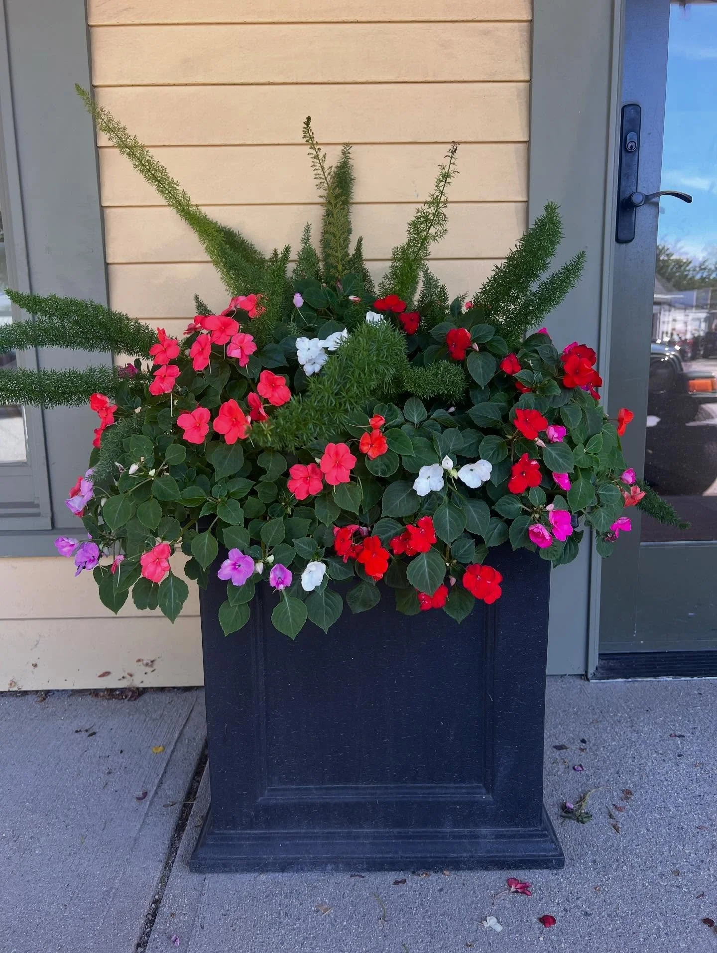 We do planters! These lil lovelies at 7 Summer brighten our view every day! Call to inquire about seasonal planter services 🪴🪴