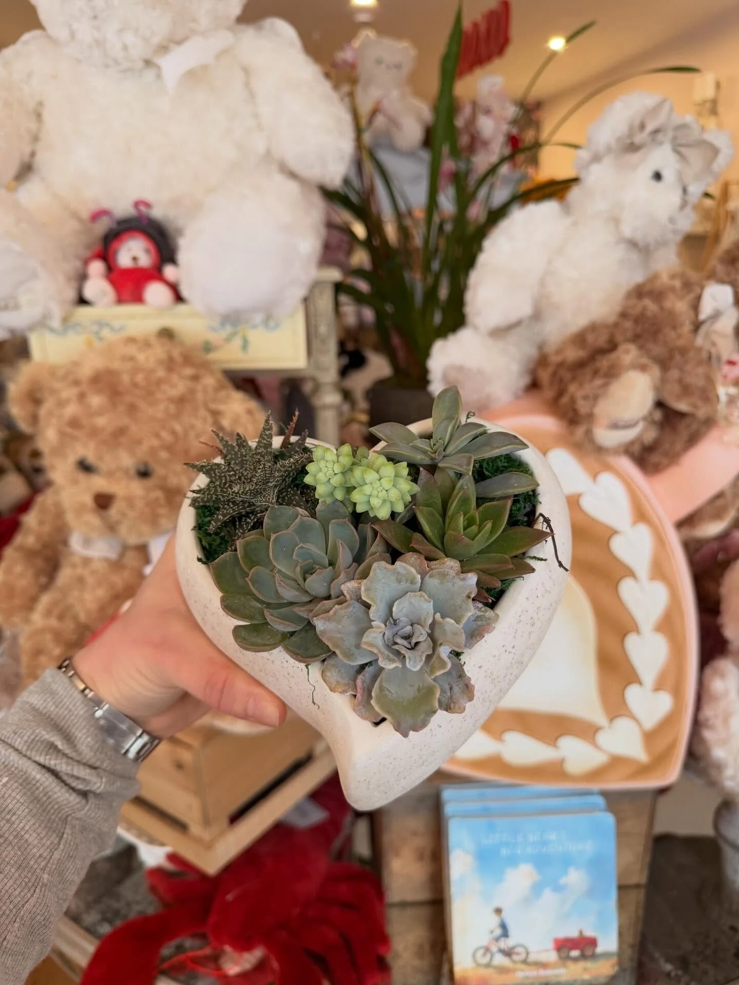 The perfect Valentine&rsquo;s Day gift for plant lovers 🌵💌🤍