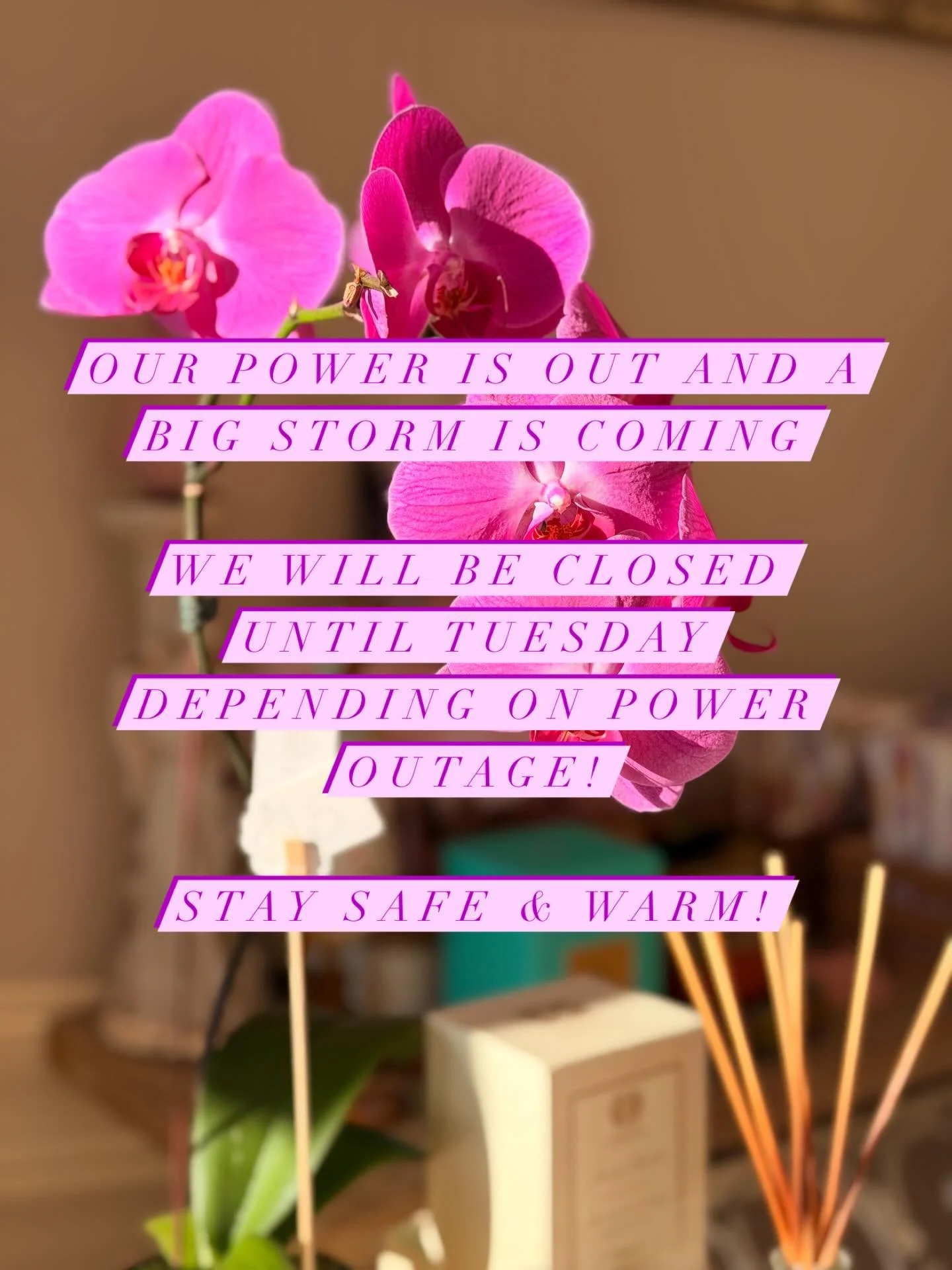 Power is out at Lavender &amp; Moss plus the winter storm coming through! Be back Tuesday, power outage depending! Be safe out there xo