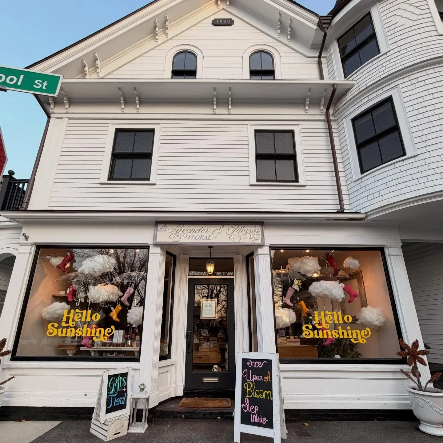 I spy with my little eye&hellip; 🐶