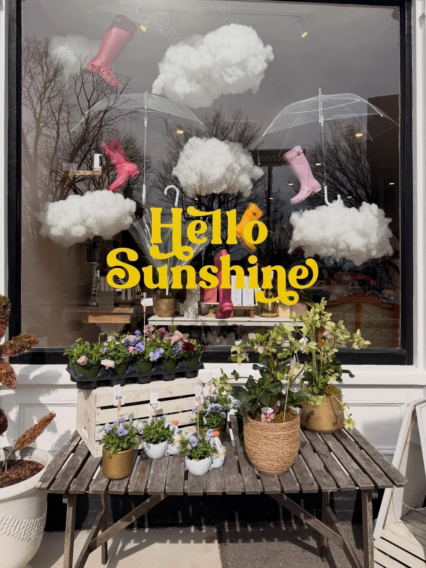 It feels so nice to be putting plants out front again 🤗🌞🌸 Pansie trays, 4&rdquo; individual pansies, potted pansies and hellebores have made a sidewalk appearance 🥰