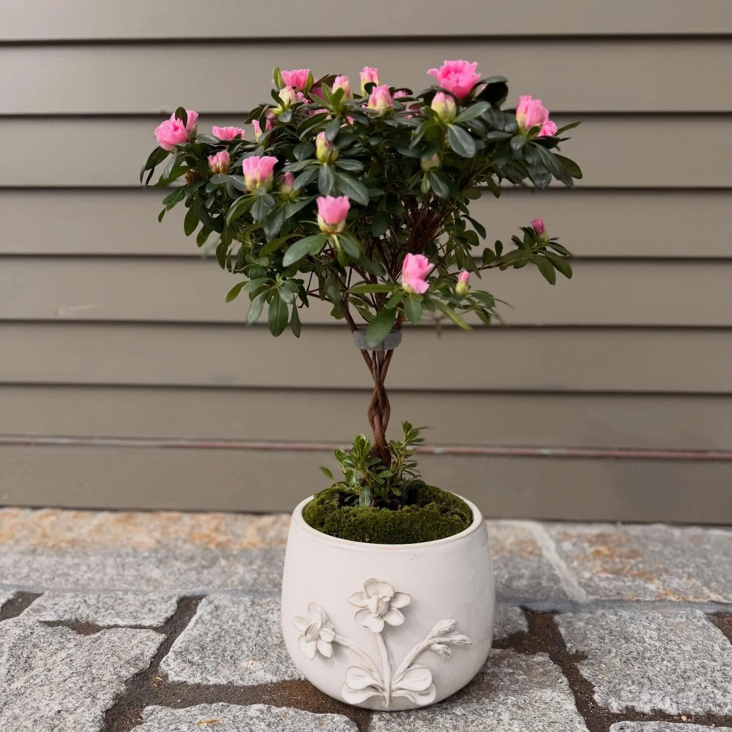 Today&rsquo;s deliveries 🌸🎀✨🌞