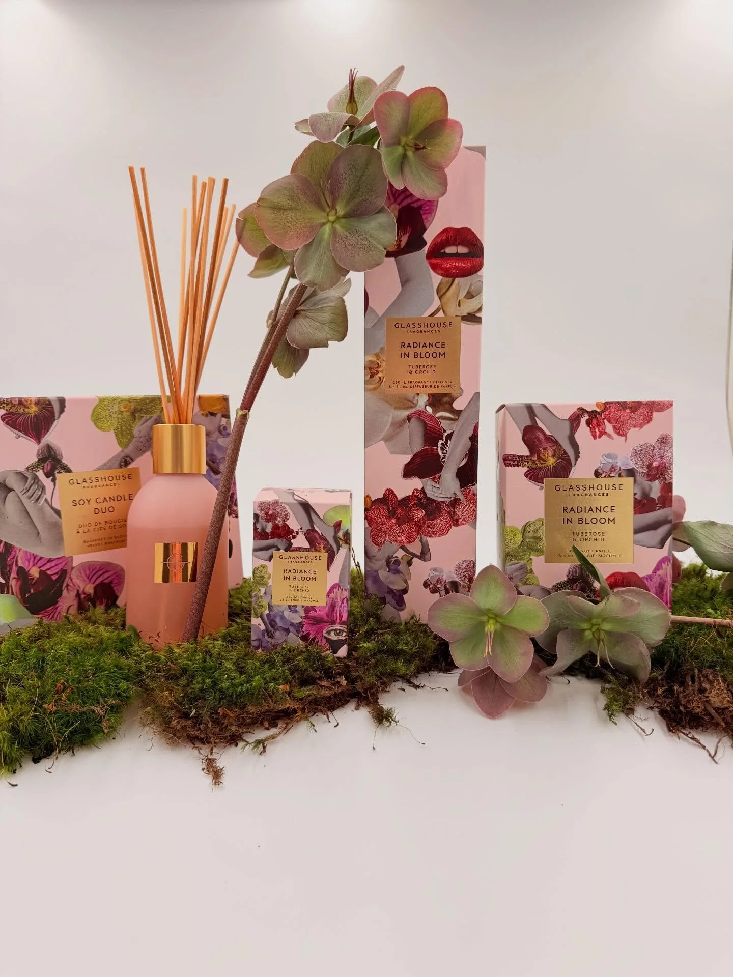 Behind the scenes this week 🤗