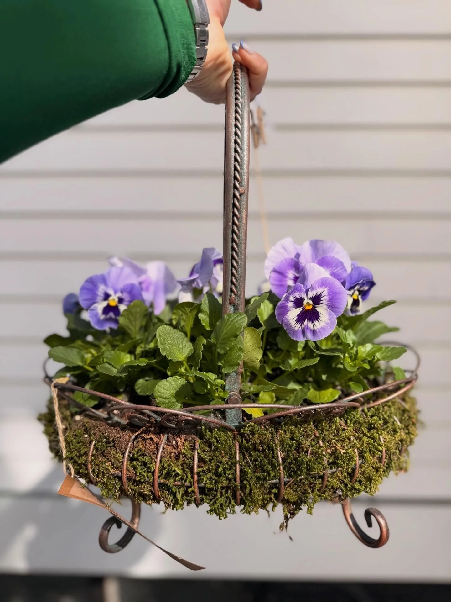 Iron moss &amp; pansy baskets are the perfect gift for the Mom that loves the garden this Mother&rsquo;s day 🌸🪻✨💕🎀