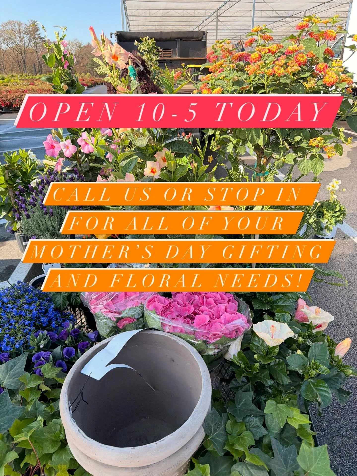 Open this Monday 5/4 for Mother&rsquo;s Day prep! New plants both indoor and outdoor arriving this morning, too! We are also still taking Mother&rsquo;s Day flower orders 🪻🎀🌞🐝🌸