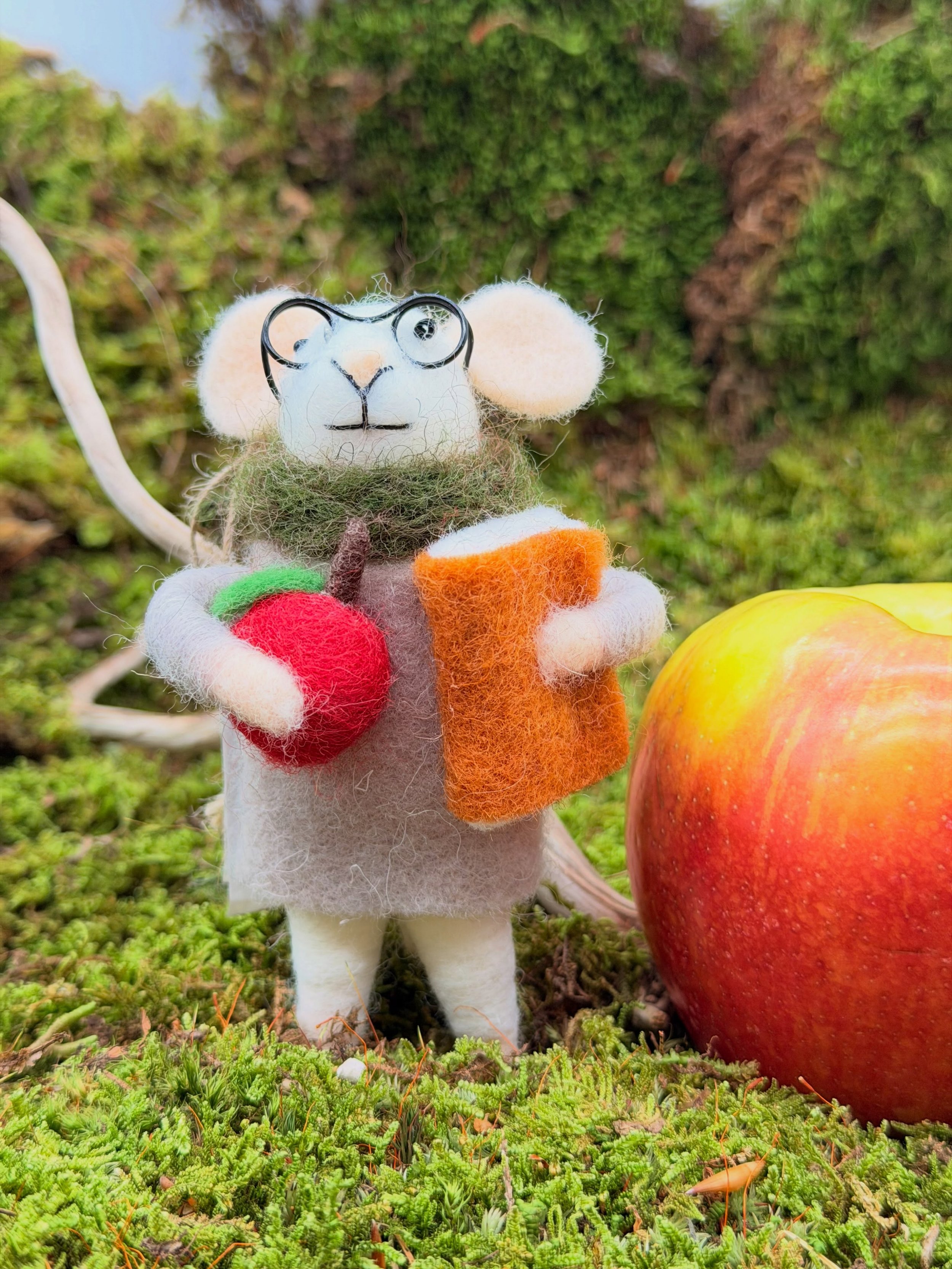 The perfect teacher appreciation gift for back to school🐭🍎📕