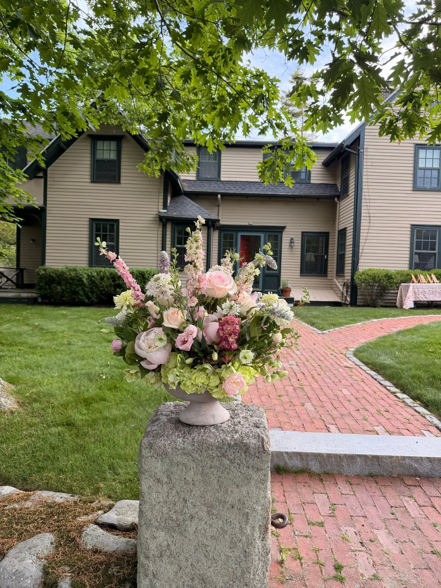 IMG_4401.jpeg