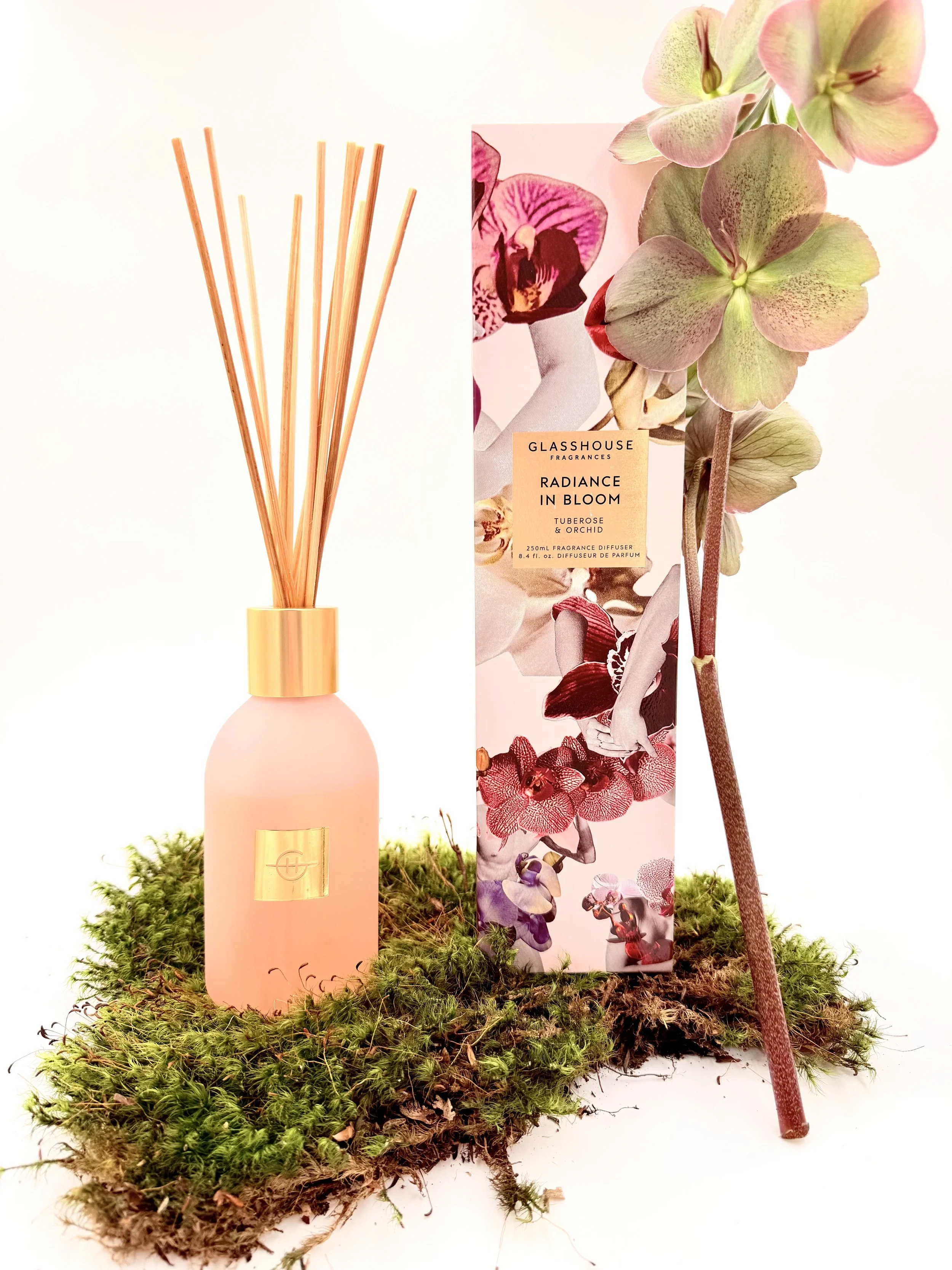Radiance In Bloom Diffuser