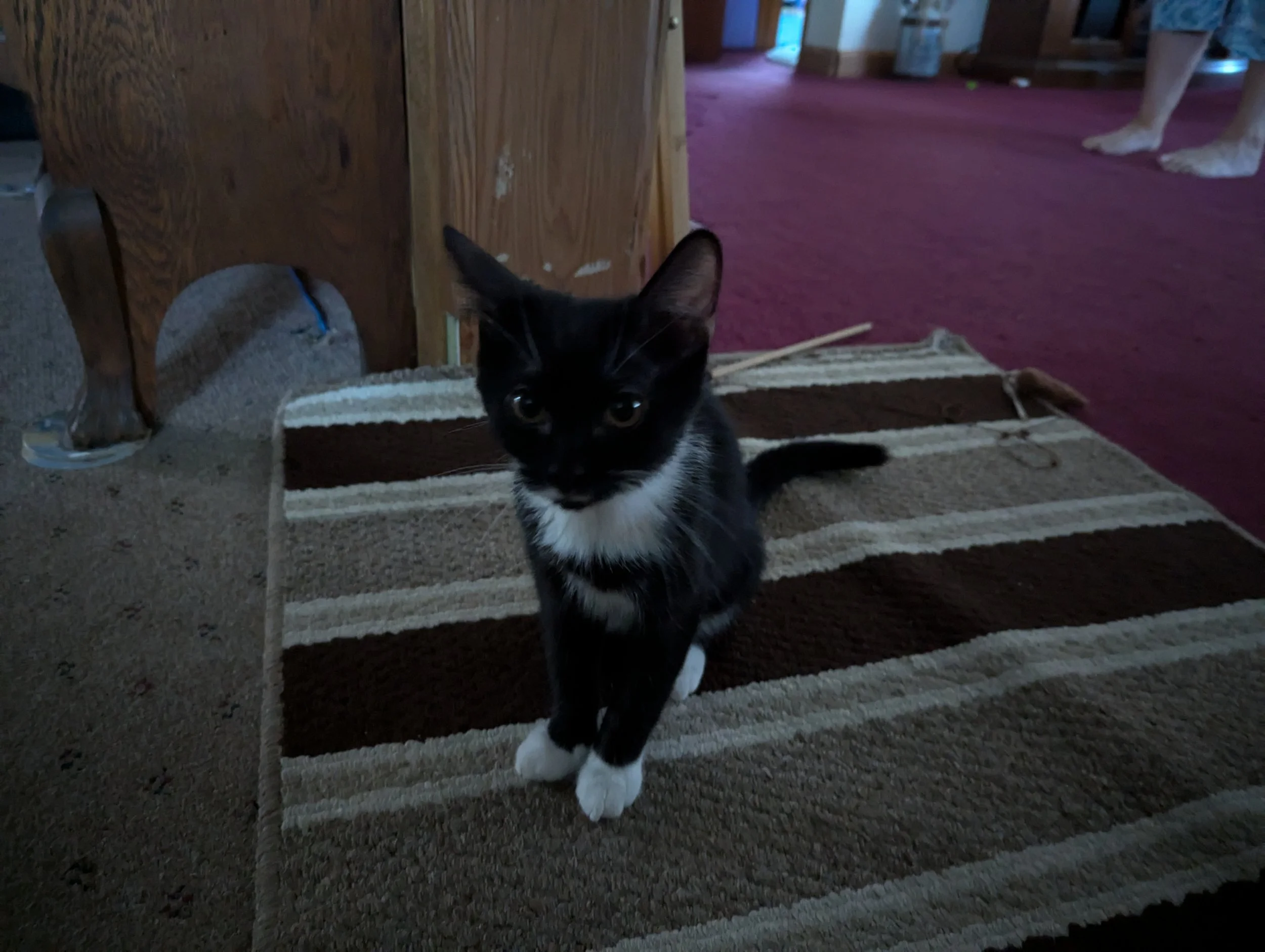 Tux