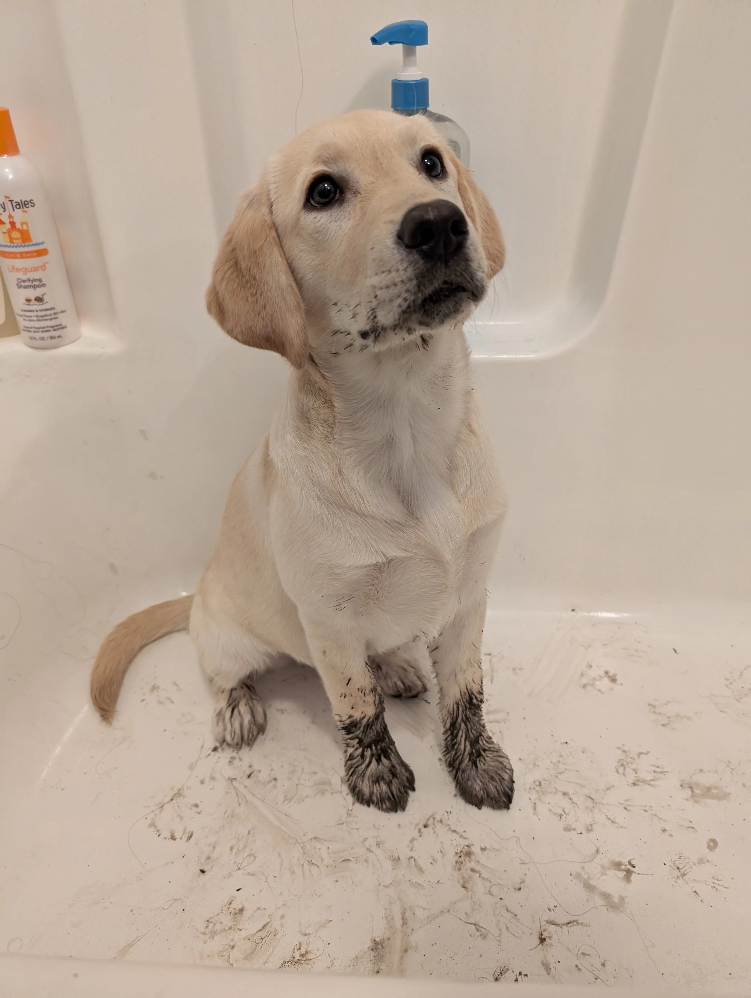 Zelda Muddy