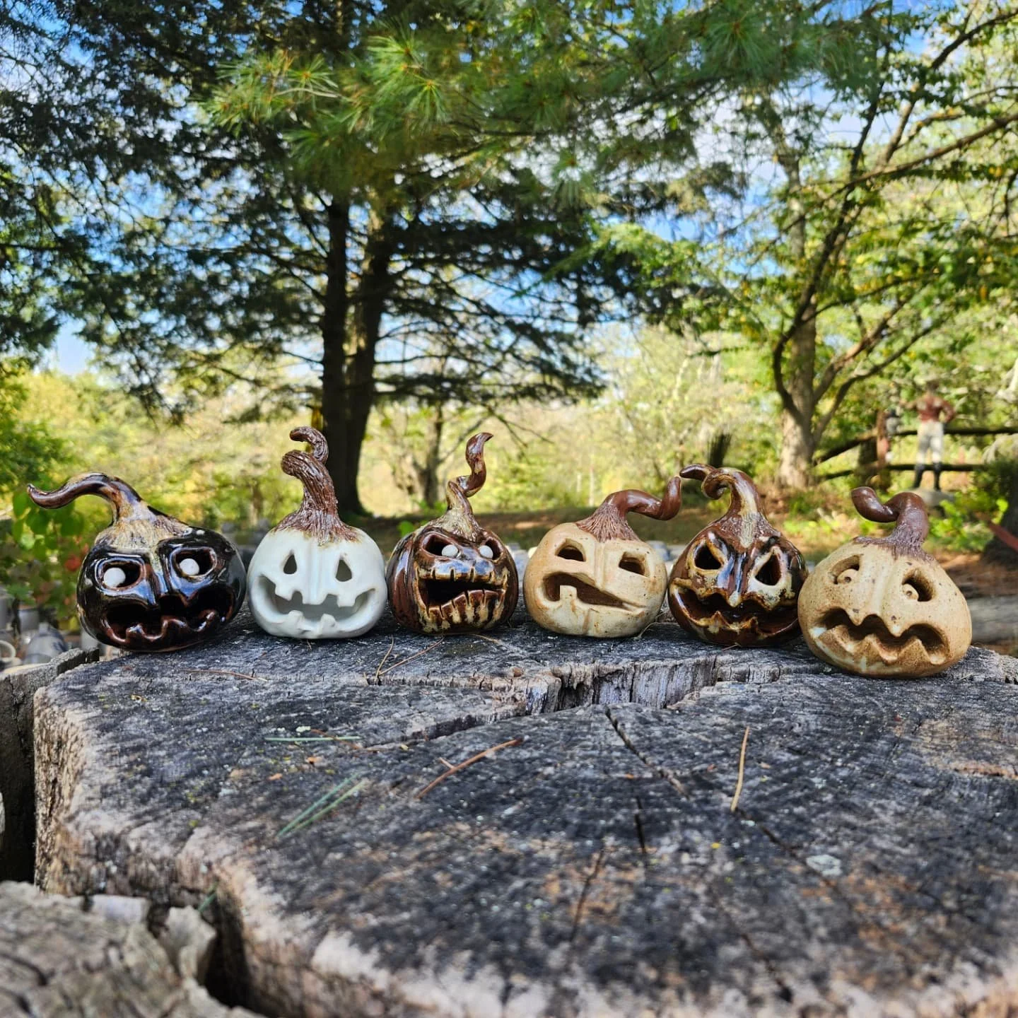 Check out our pumpkin patch! This is a sneak peak of what will be available starting this Saturday at the Covered Bridge Festival. We will be at the Ebenezer Bridge at Mingo park Saturday and Sunday. We hope to see you there! *these will not be avail