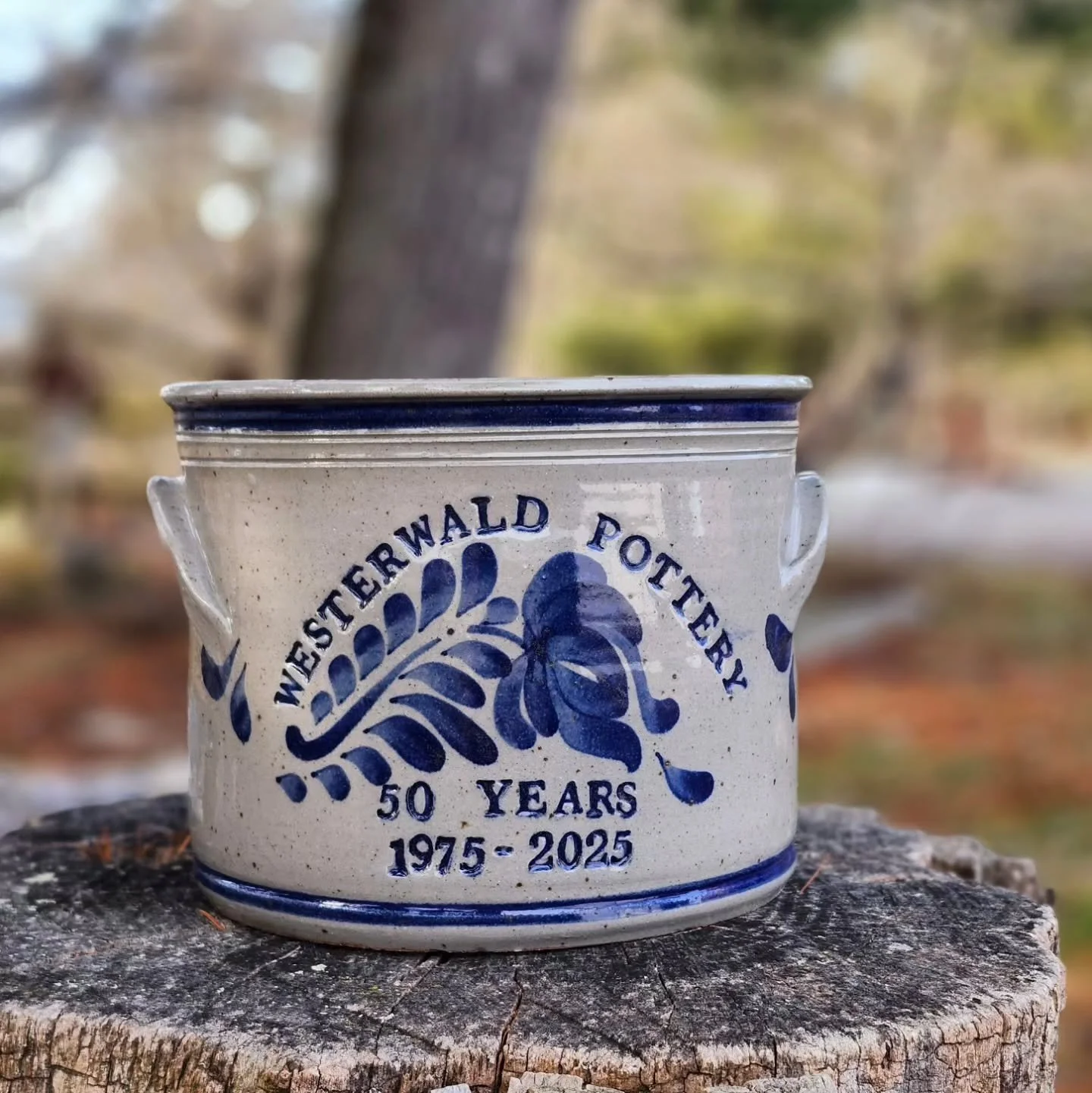 In welcoming the New Year we need to take a look back at 2025... our 50th year in business! In typical fashion,  I let the year get away from us without any official celebration,  but thankfully we did manage to have this beautiful commemorative piec