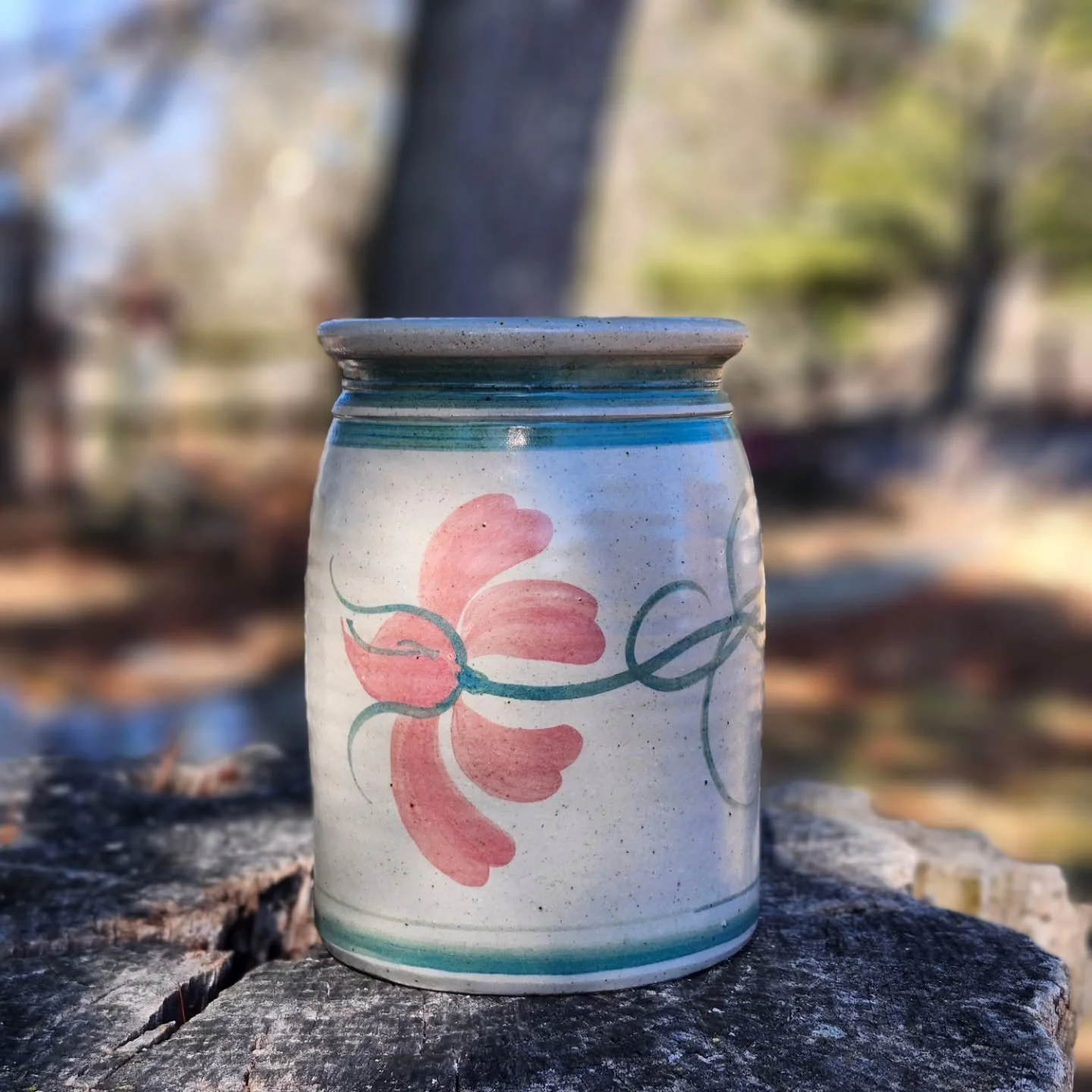 It feels like spring! Stop out to see us while the sun is pit!

#sceneryhill #handthrownpottery #springvibes #potterygifts #springdecor