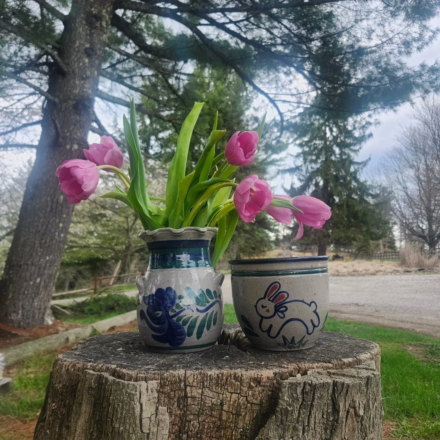 Spring vases and some more bunnies just in time for the holiday. Quantities are very limited, Happy Easter! 

#sceneryhill #easterpottery #springdecor #ceramicbunny #springvase