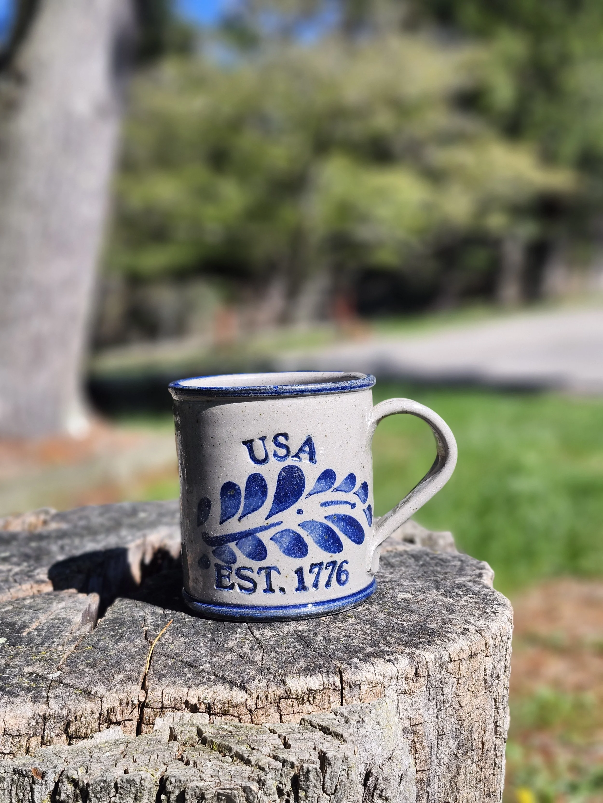 USA Mug with Fern