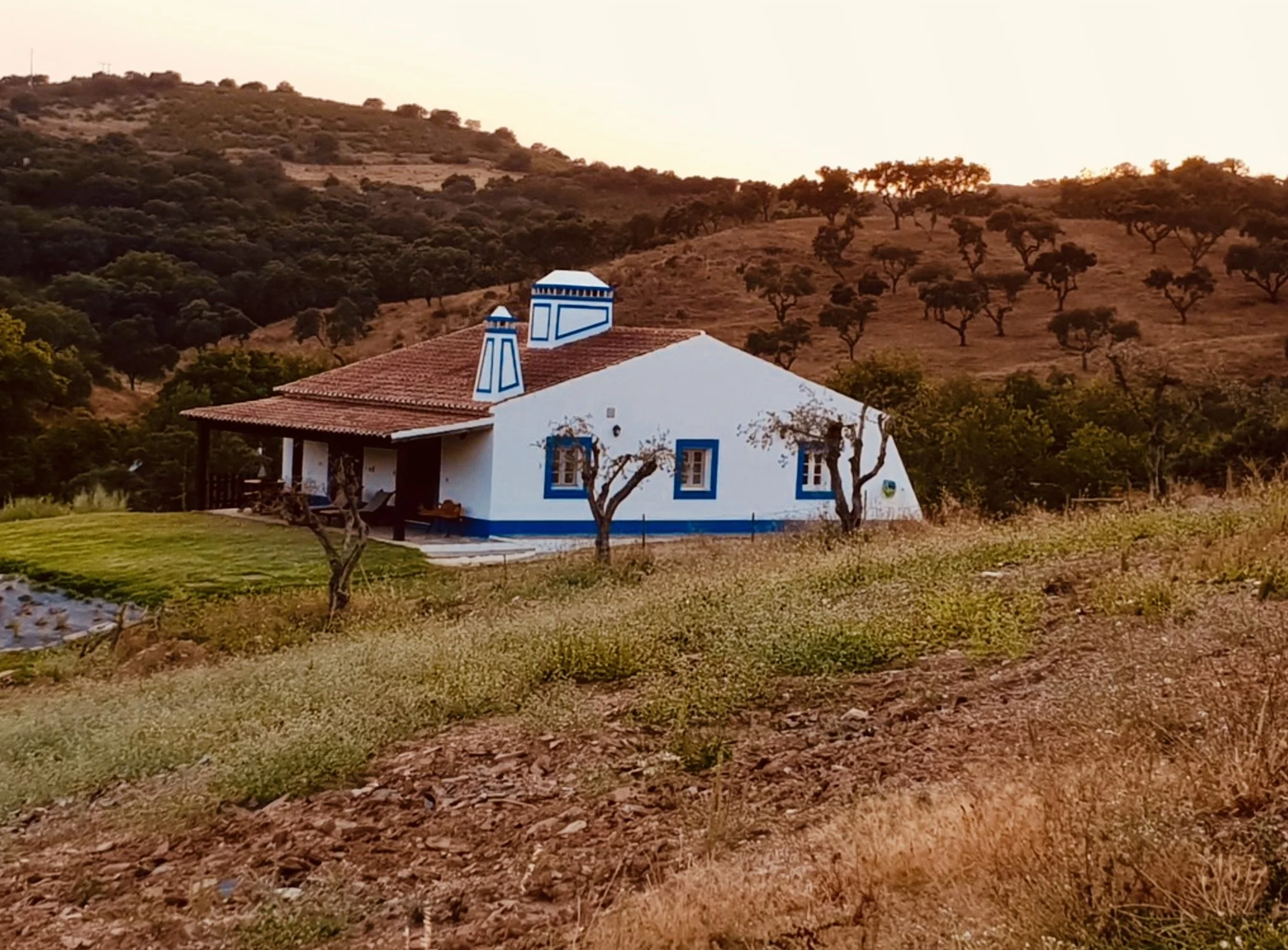 Screenshot 2024-08-05 at 17.26.51.jpeg