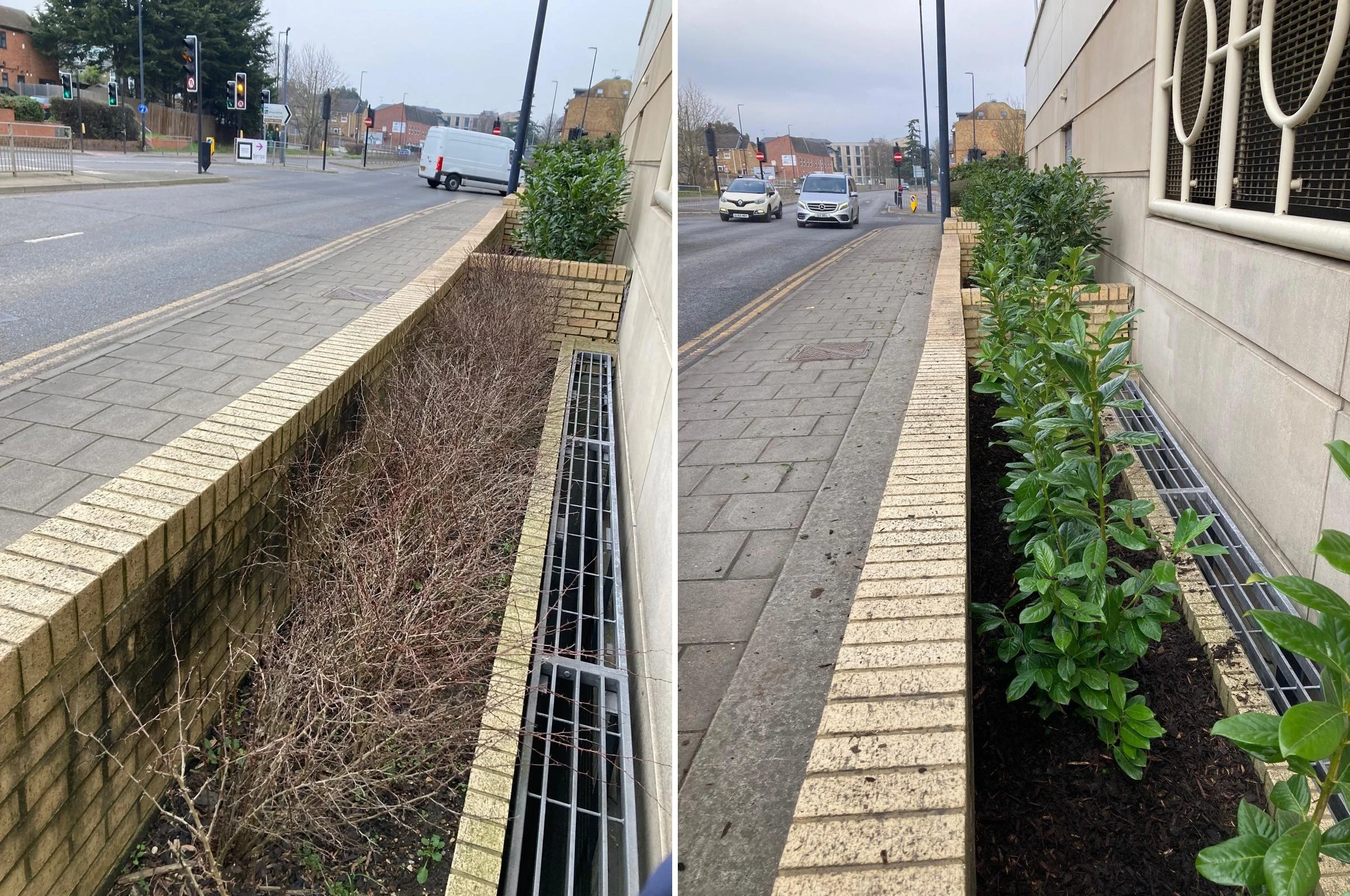 Landscape - Before and After