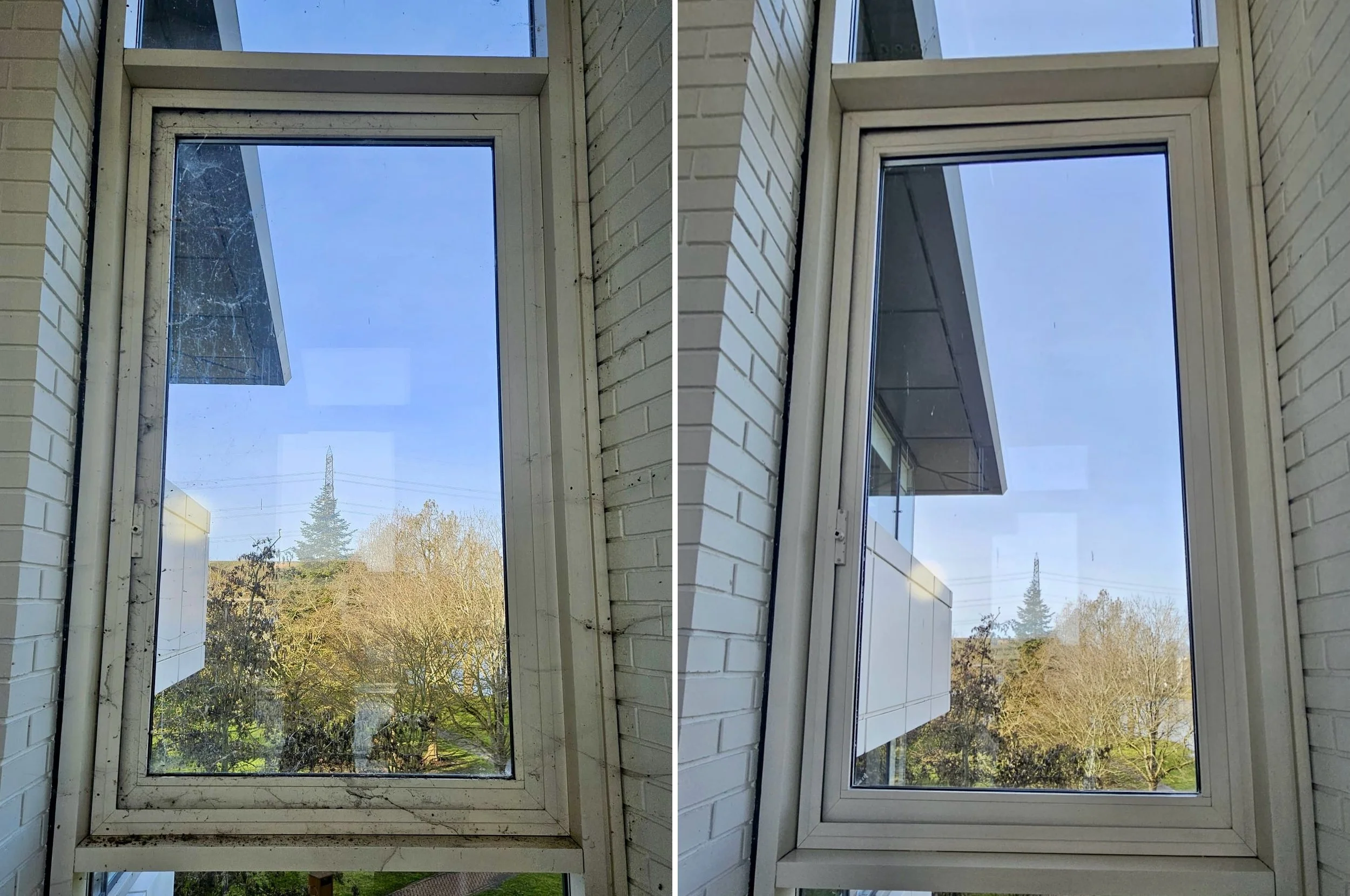 01 Hive-Window-Clean.jpg