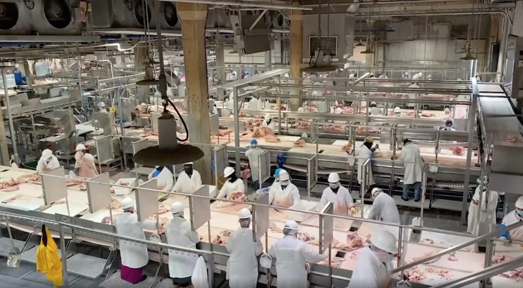 Oshek: The Jewish Value of Protecting Workers