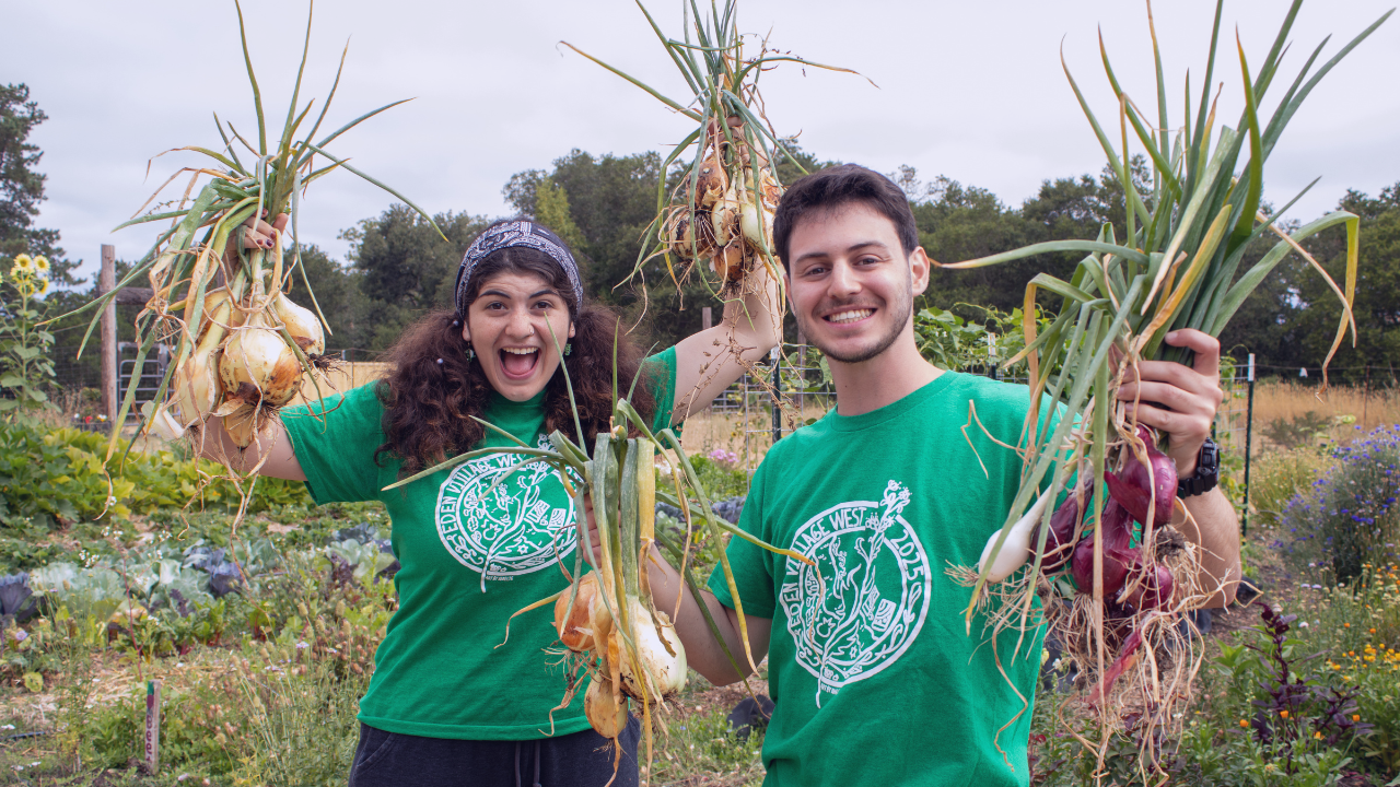Case Study: Aligning Camp Food with Jewish Values