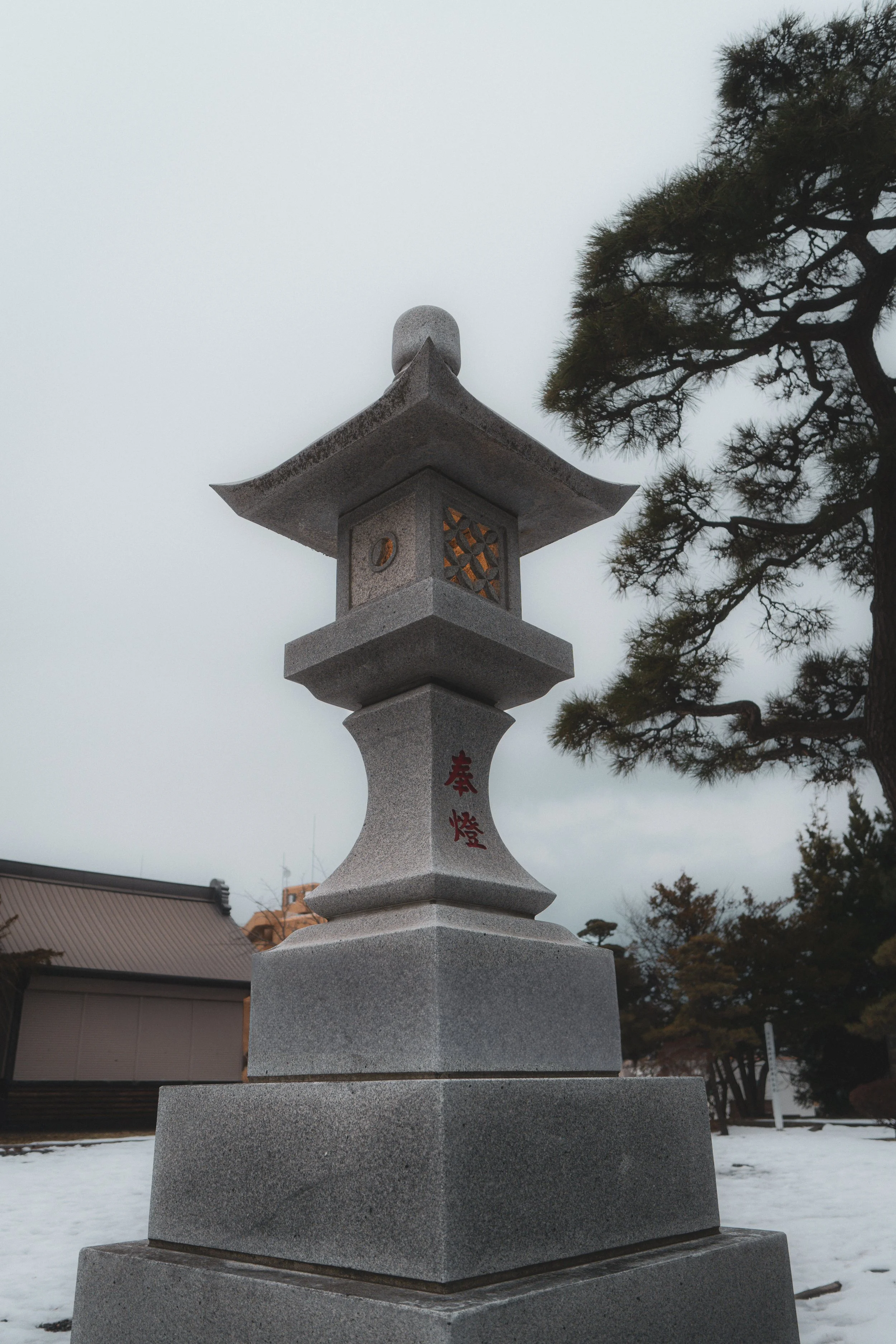 DSC08742.jpg