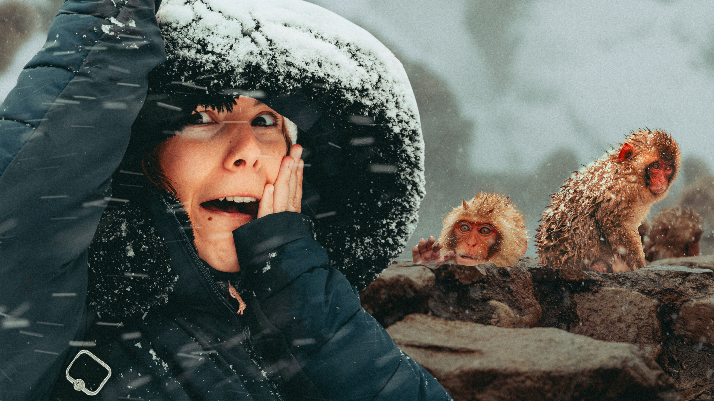 Nagano and Matsumoto, Japan: The Ultimate Travel Guide for 1 week