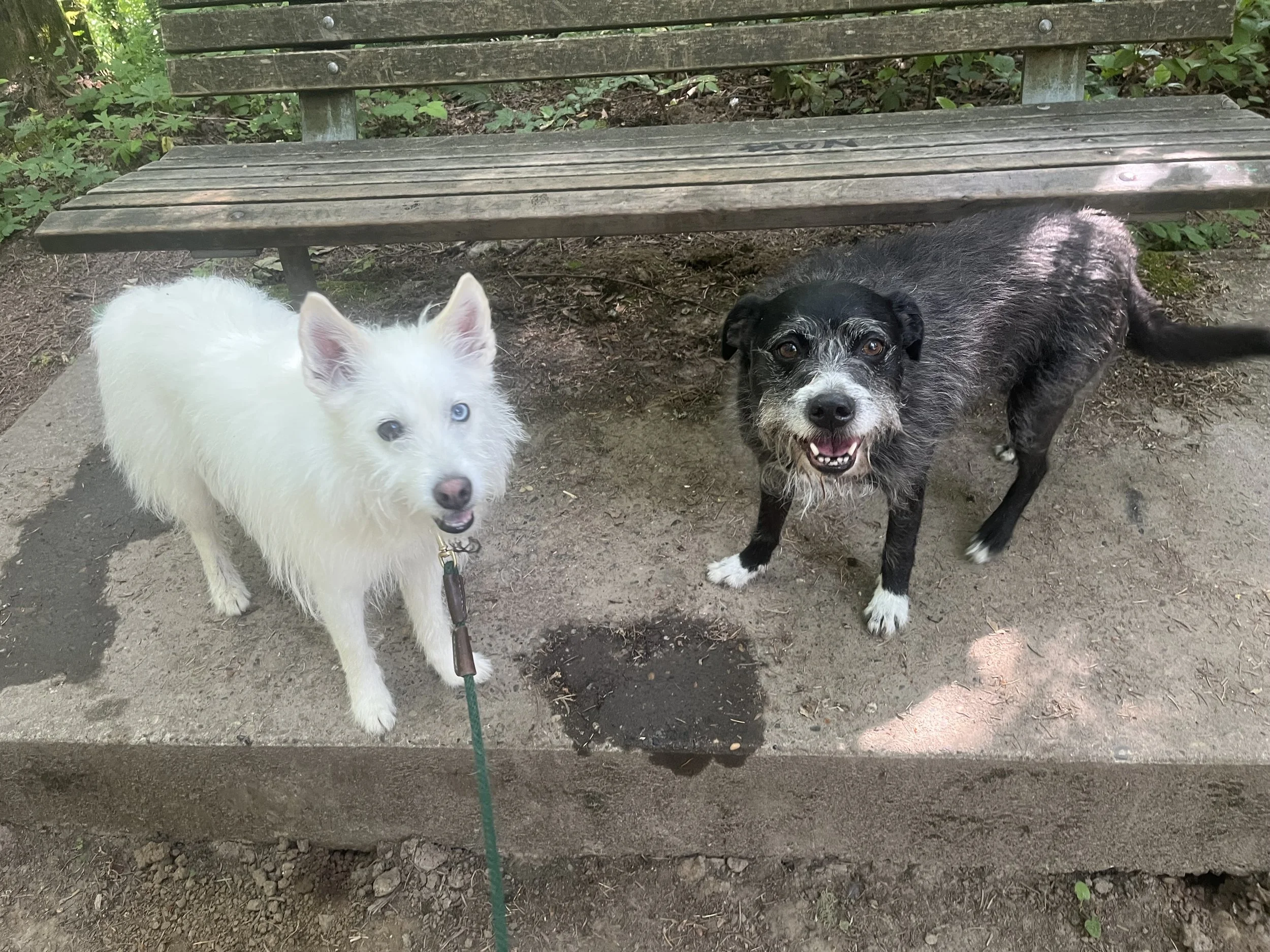 Project Manger and Superintendent