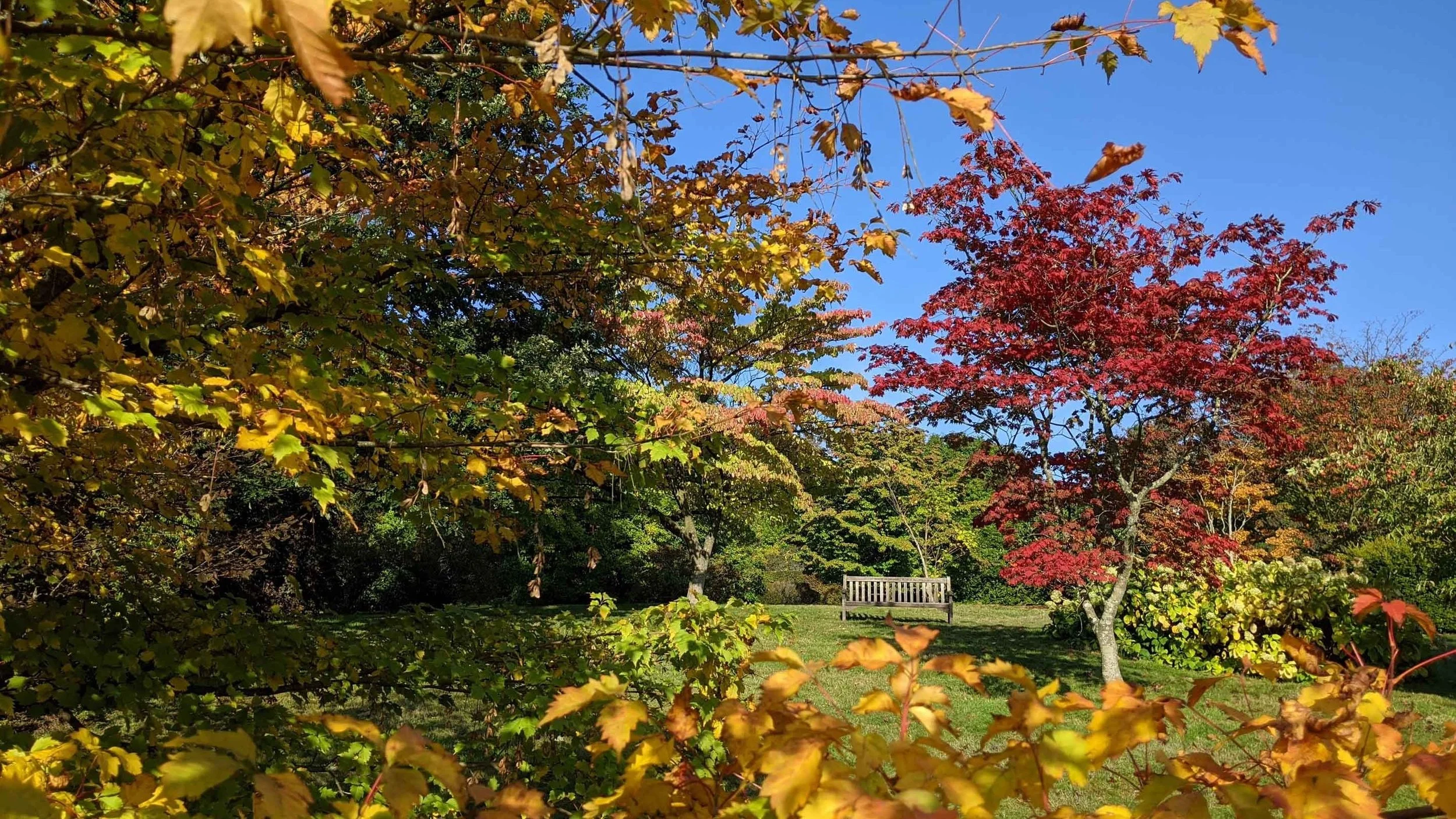 The Best Autumn Walks and Places to See Autumn Colours in Kent 2026