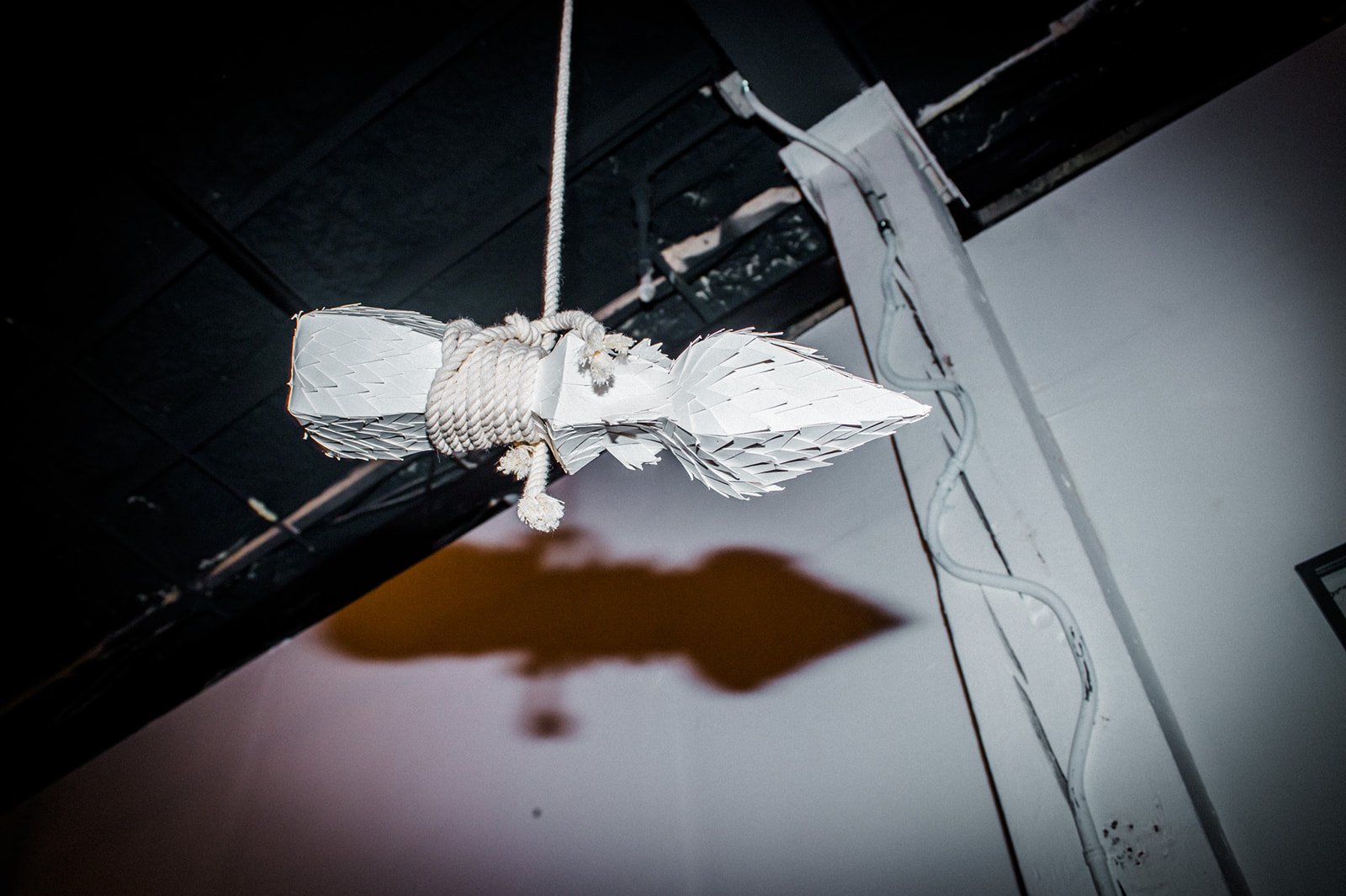 Bakery January 2026 LT-17.jpg