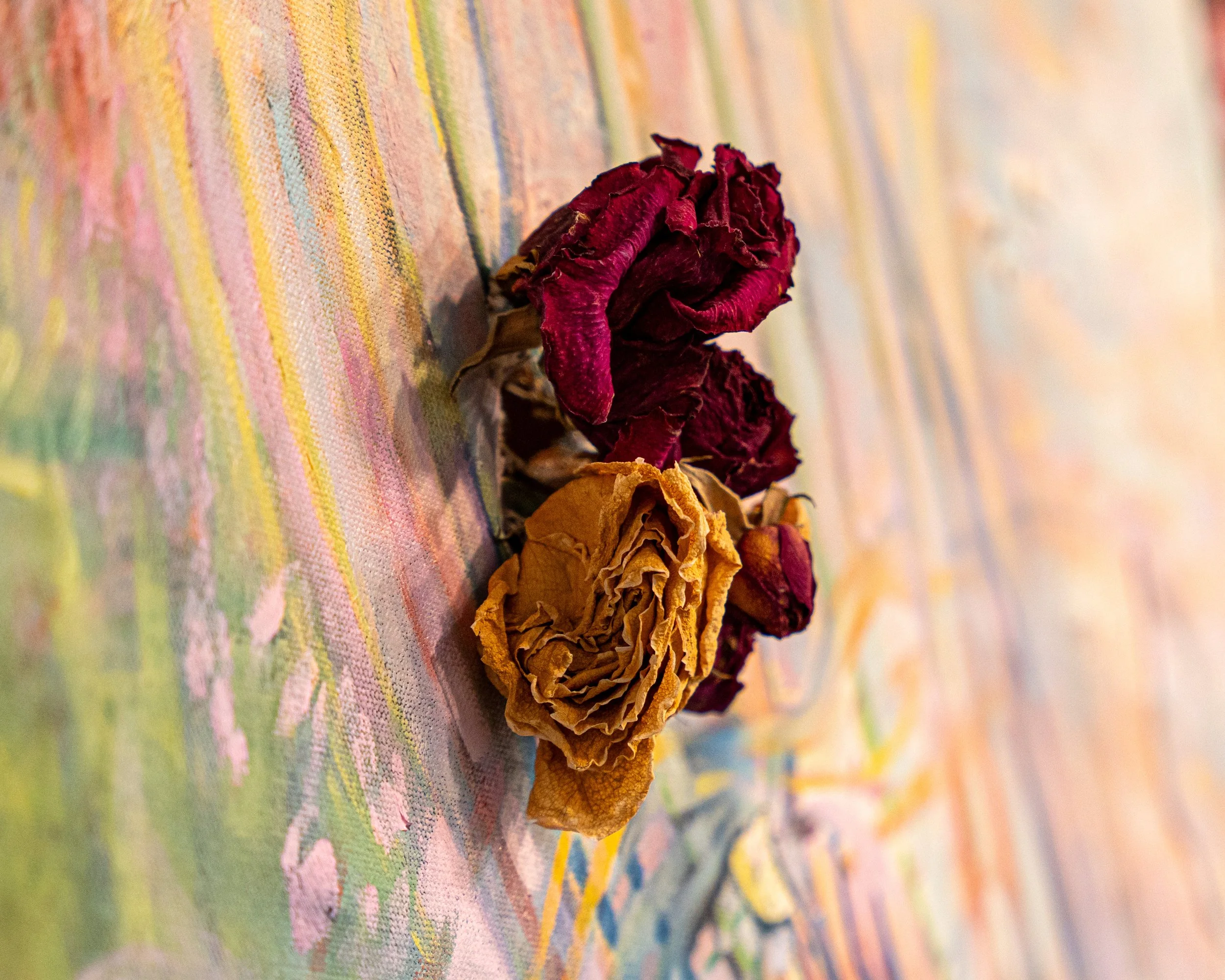 Offspring of Hers-08366.jpg