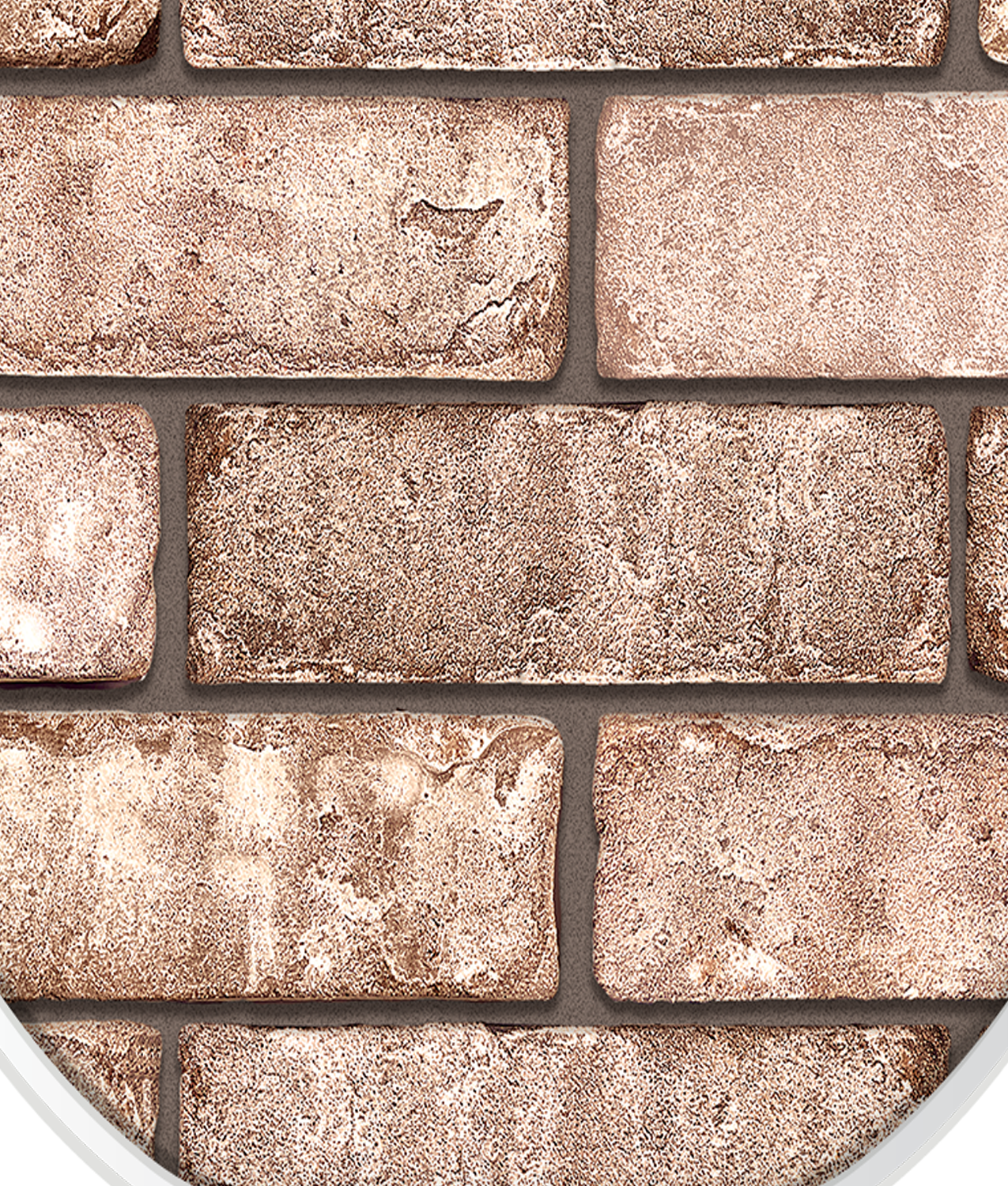 SampleBoard_RusticRed_Dk zoom'.png