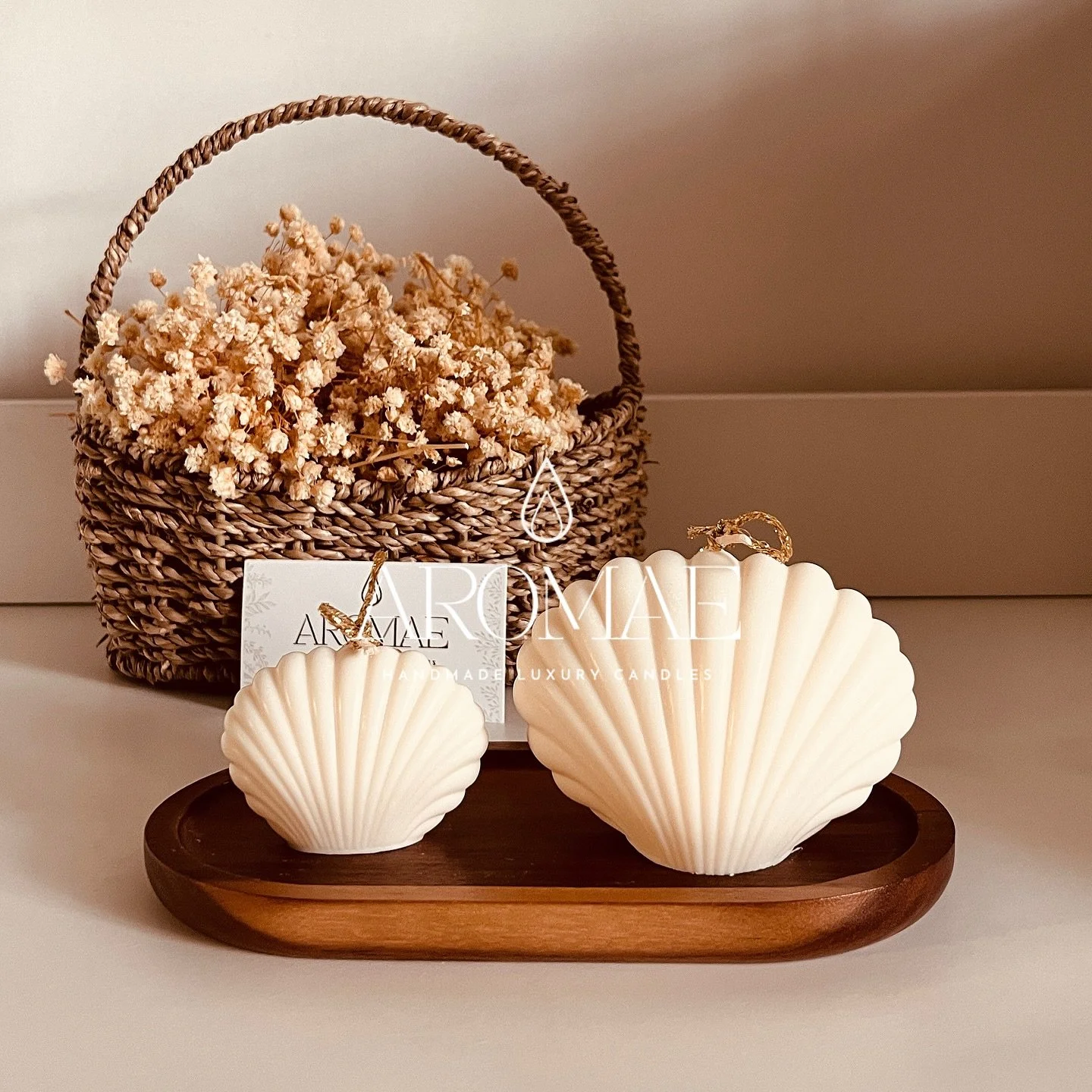 Aromae Shell Candle 🤍 Love how it makes my space feel so cozy and comfortable. 
Shop Now
LINK IN BIO
#candle #candlelovers #candlelover #homedecor #candledecor #cozyhome #candleshop #candlemaking #candlebox