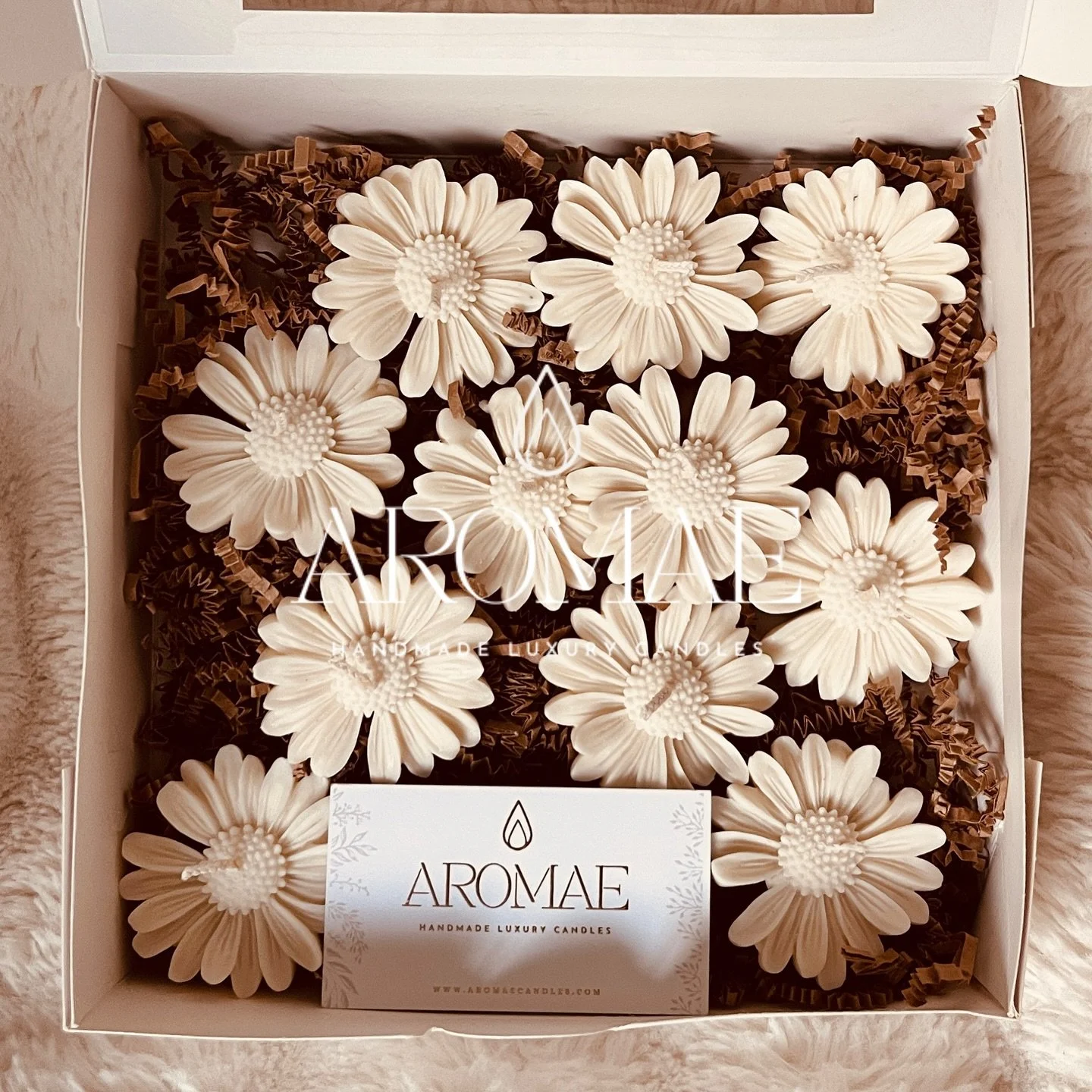 I&rsquo;m obsessed with these Daisy candles&hellip; they&rsquo;re just too cute and they smell amazing 🌼🤍

#candles #candleshop #candlelover #candledaisy #daisy #homeinspo #giftideas #aromaecandles