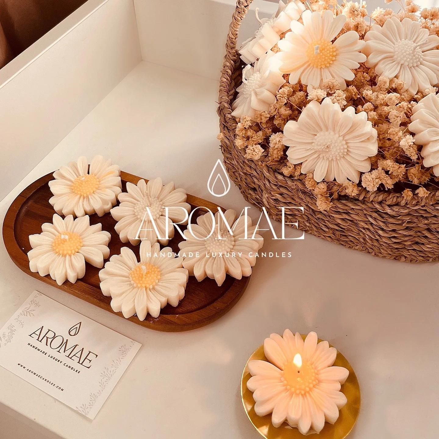 Oh daisies 🌼
So pretty. So calming.
DM 💌🤍

#daisycandle #handmadecandles #candlesofinstagram #candlelover #candleaesthetic #decorcandles #cozyhomevibes #homedecorinspo #luxurycandles #giftideas #thoughtfulgifts #coconutsoywax #nontoxiccandles #sma