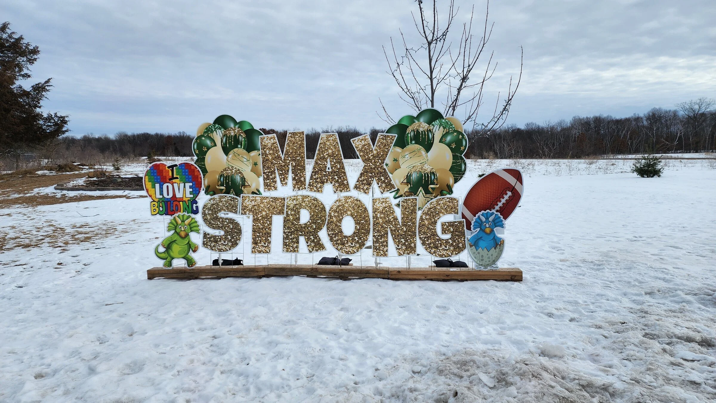 SupportGreenGoldMaxStrong.jpg