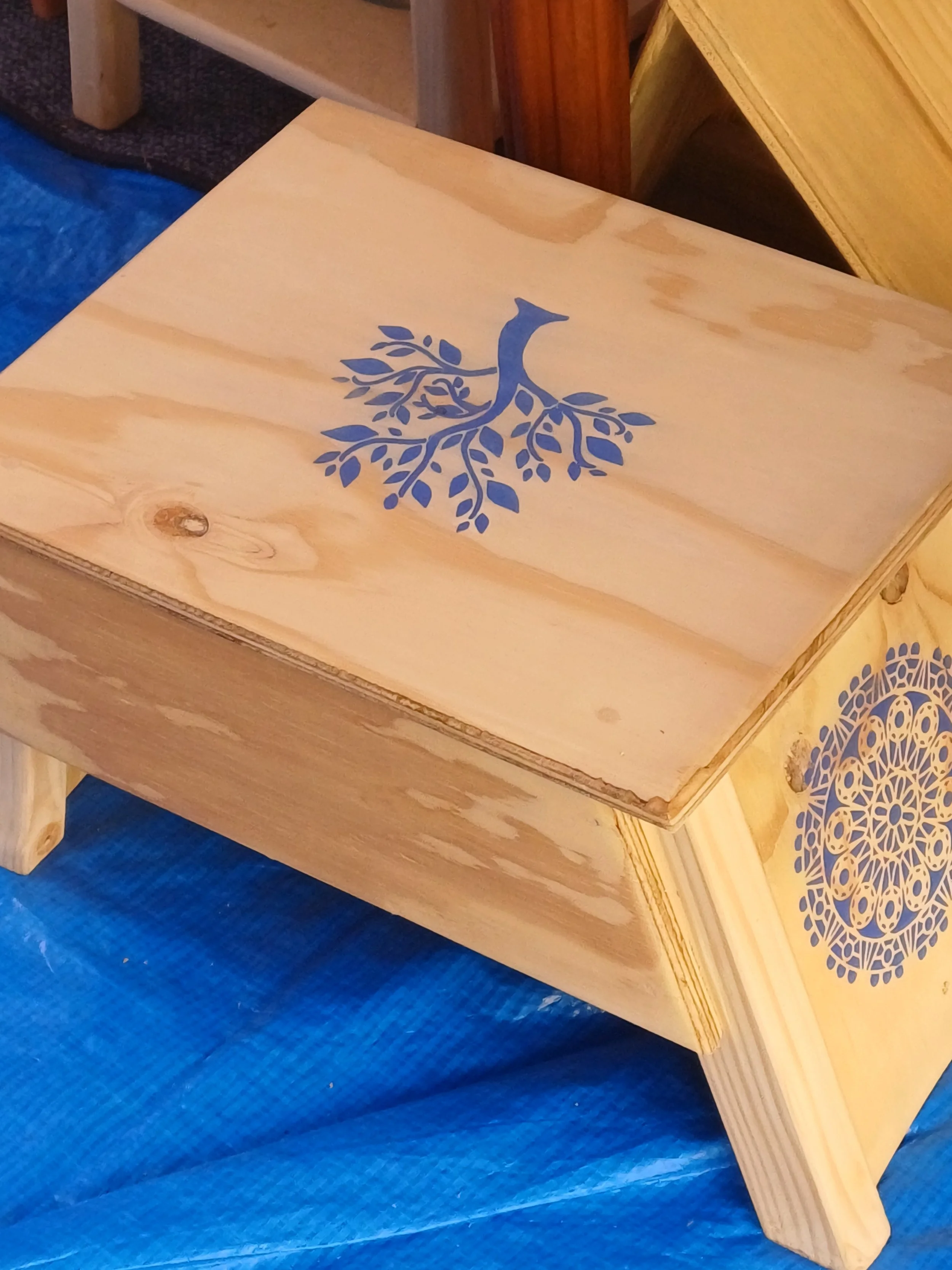 panier de rangement/caisse à outils/marche