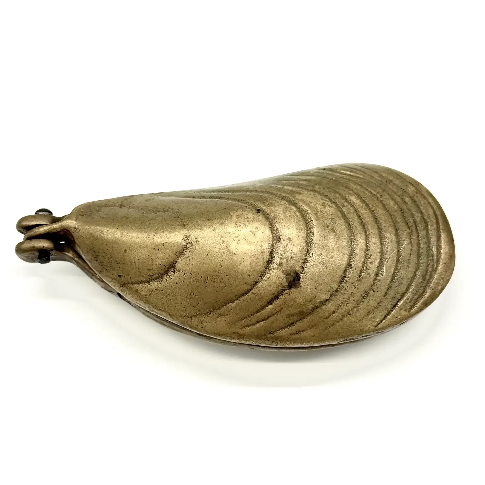 vintage-brass-oyster-clam-mussel-shell-hinged-trinket-box-3961.webp