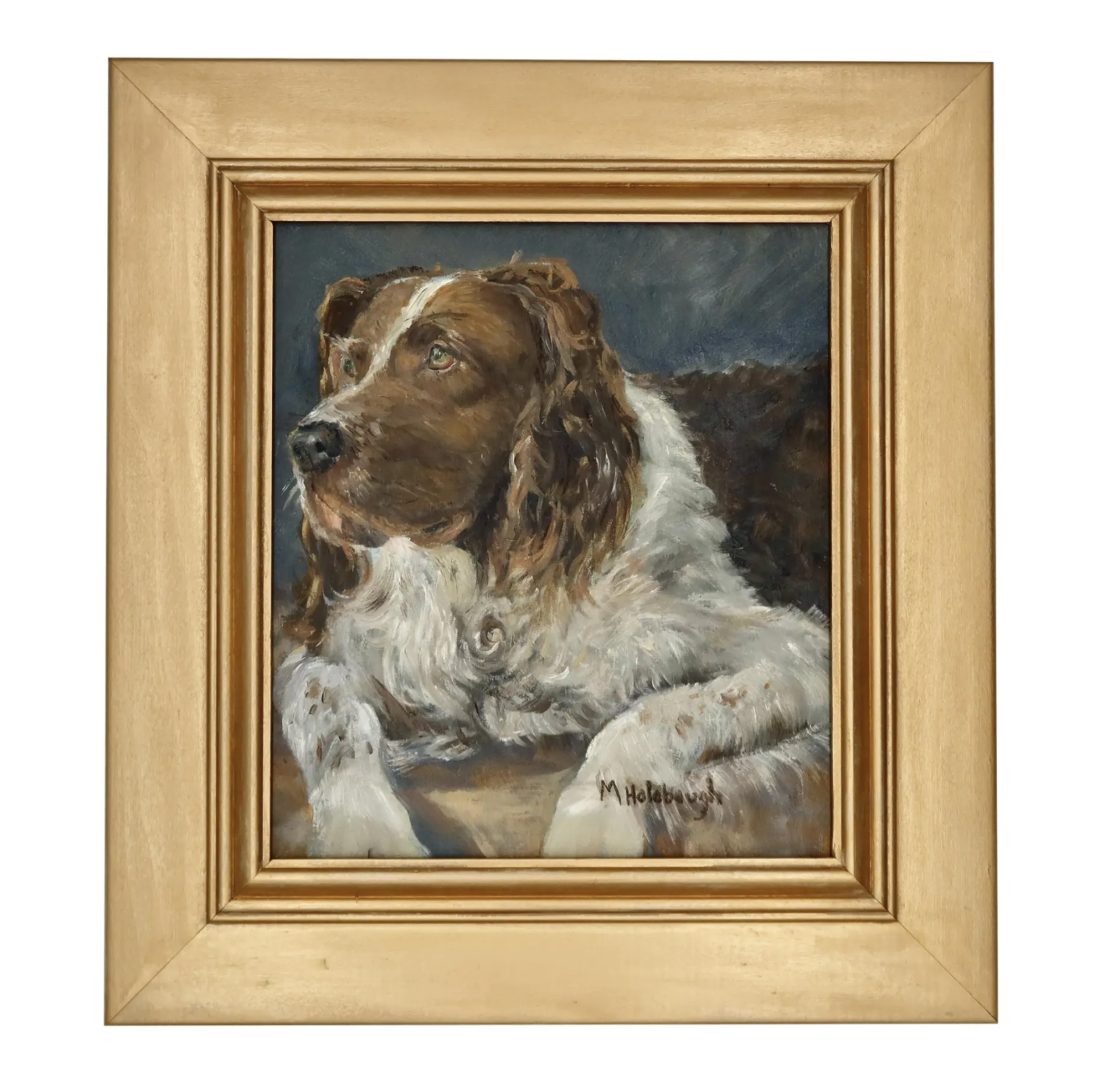 Signed, realistic portrait of a Springer Spaniel framed in a giltwood frame. Located in Austin, Texas.