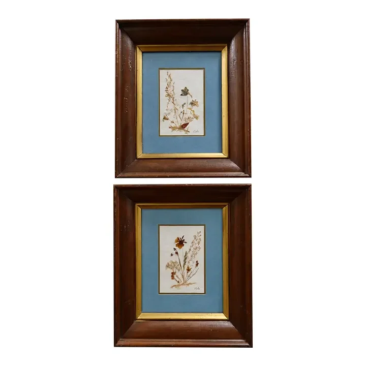 Vintage Set of Swiss Pressed Botanical Art