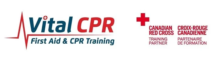 Vital CPR INC - Toronto&#39;s Best Choice Since 2002!