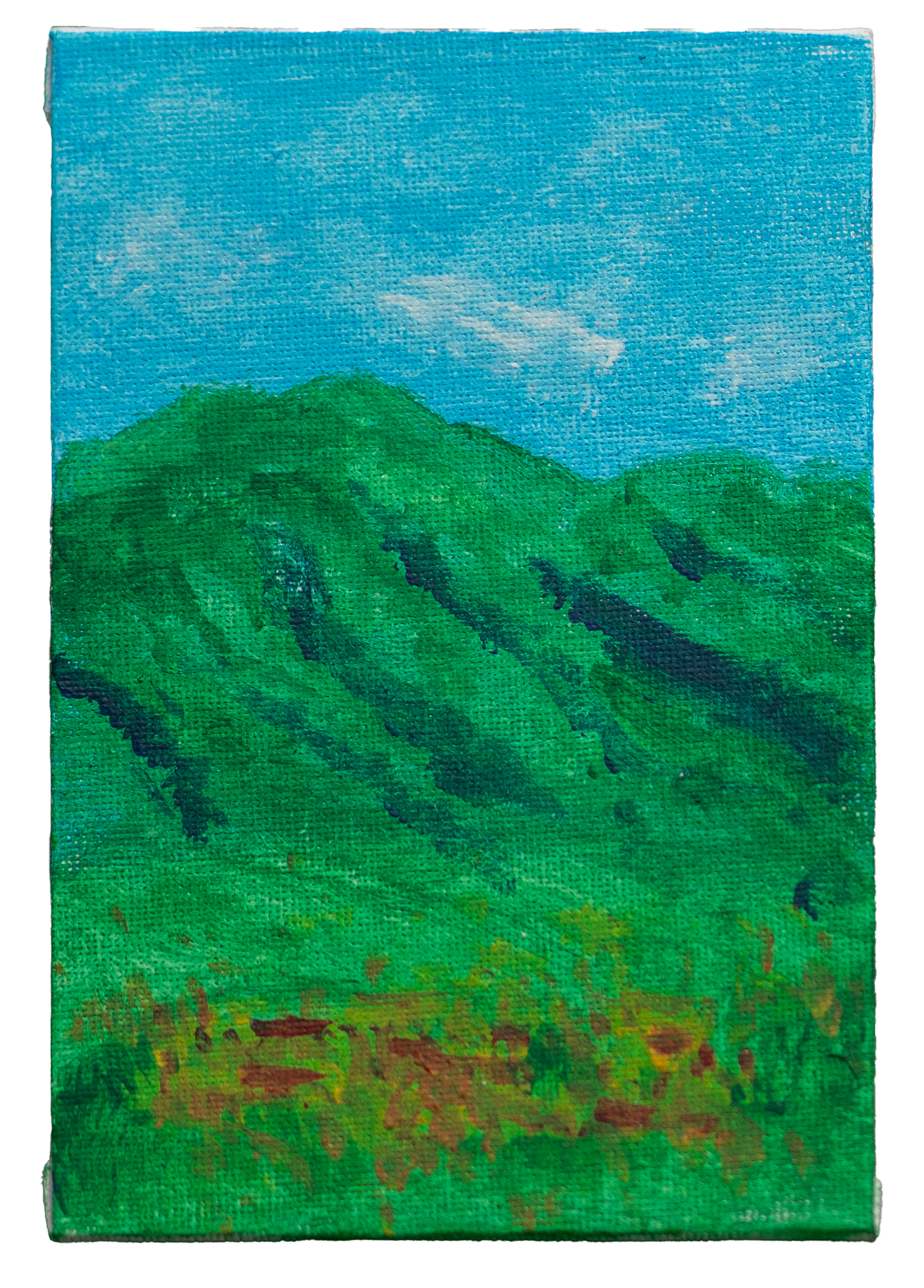 Vista di Roccavivi
