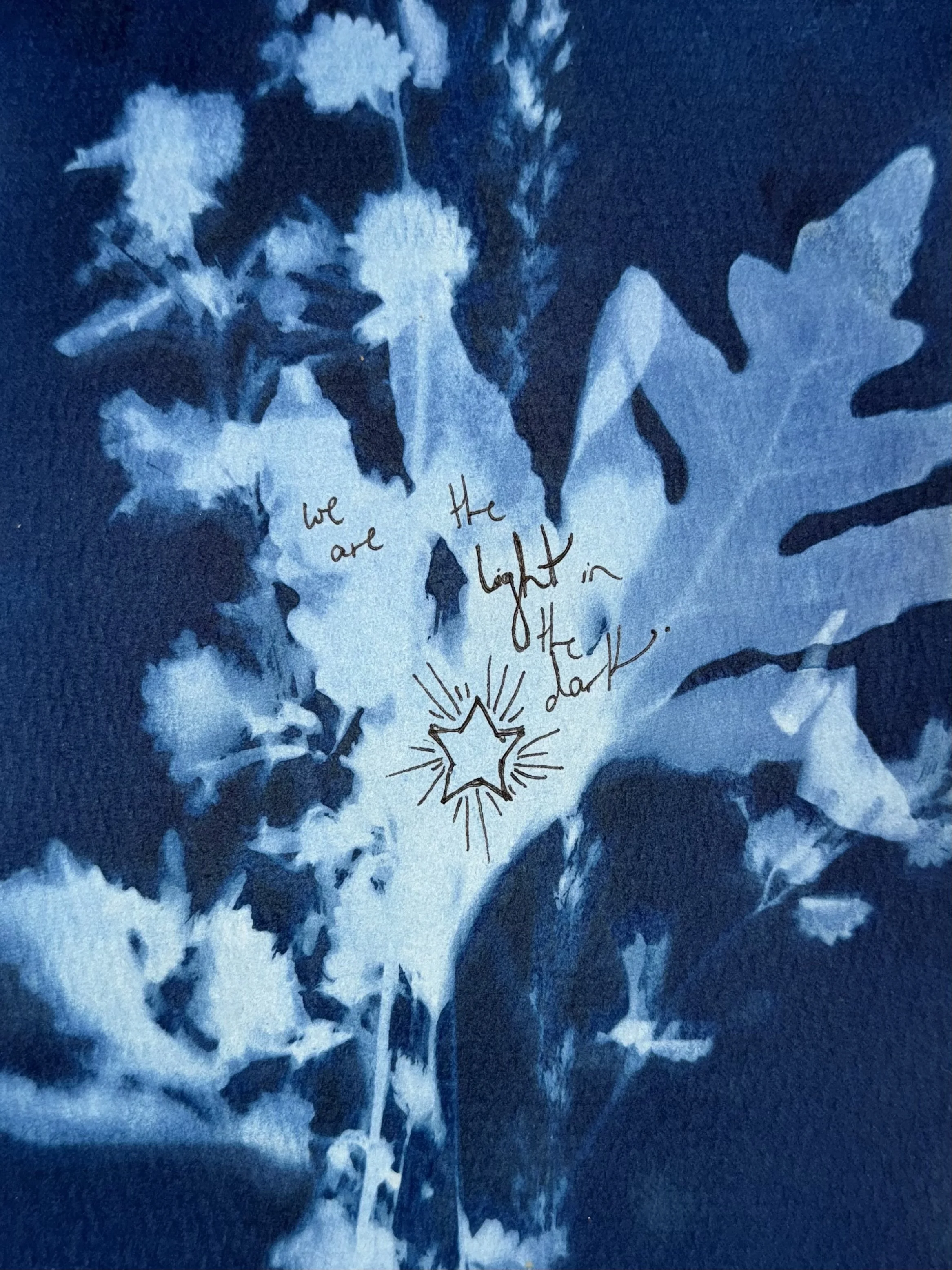"For Ash" // Cyanotype // 2025