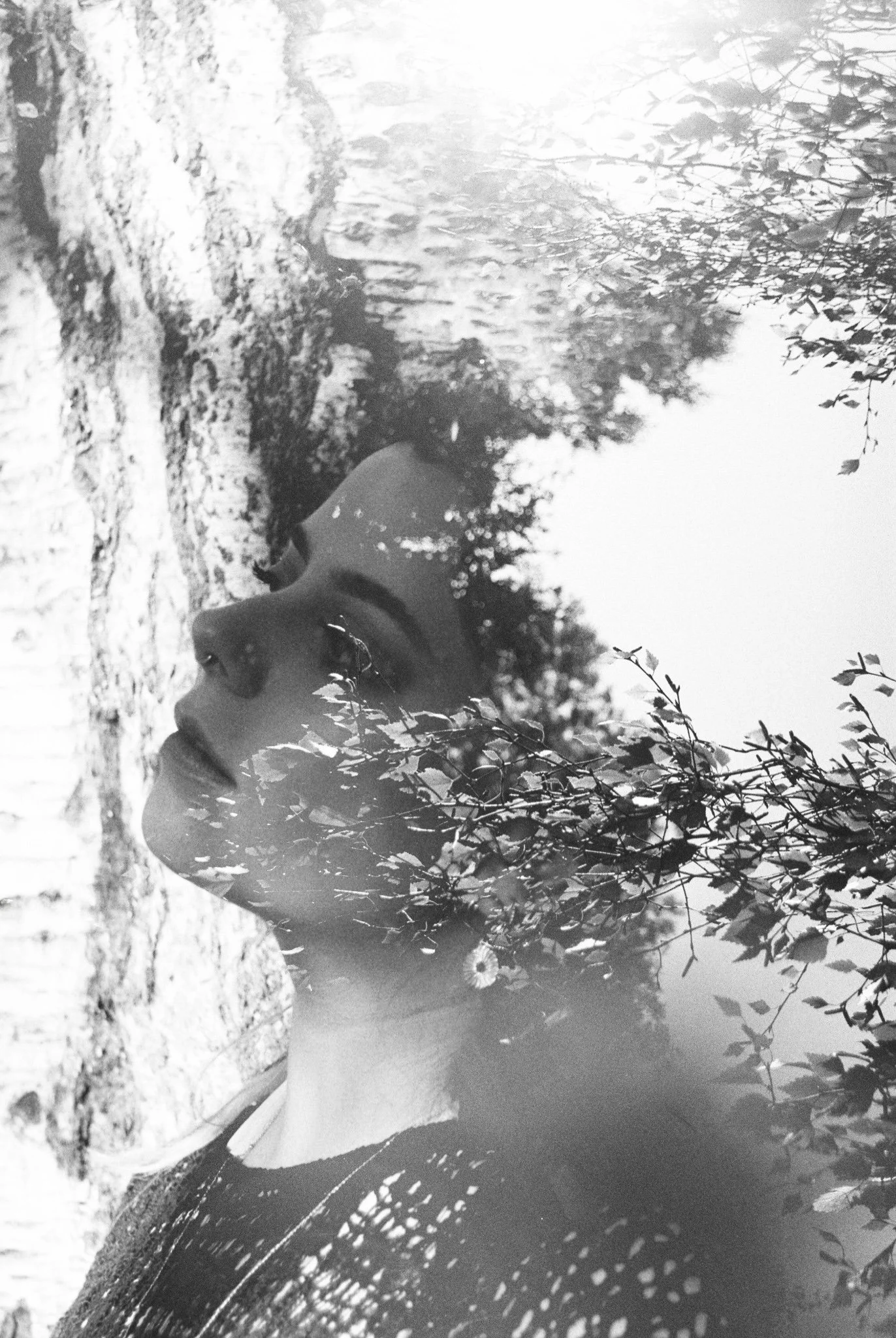 "Finding: Fading" // 2025