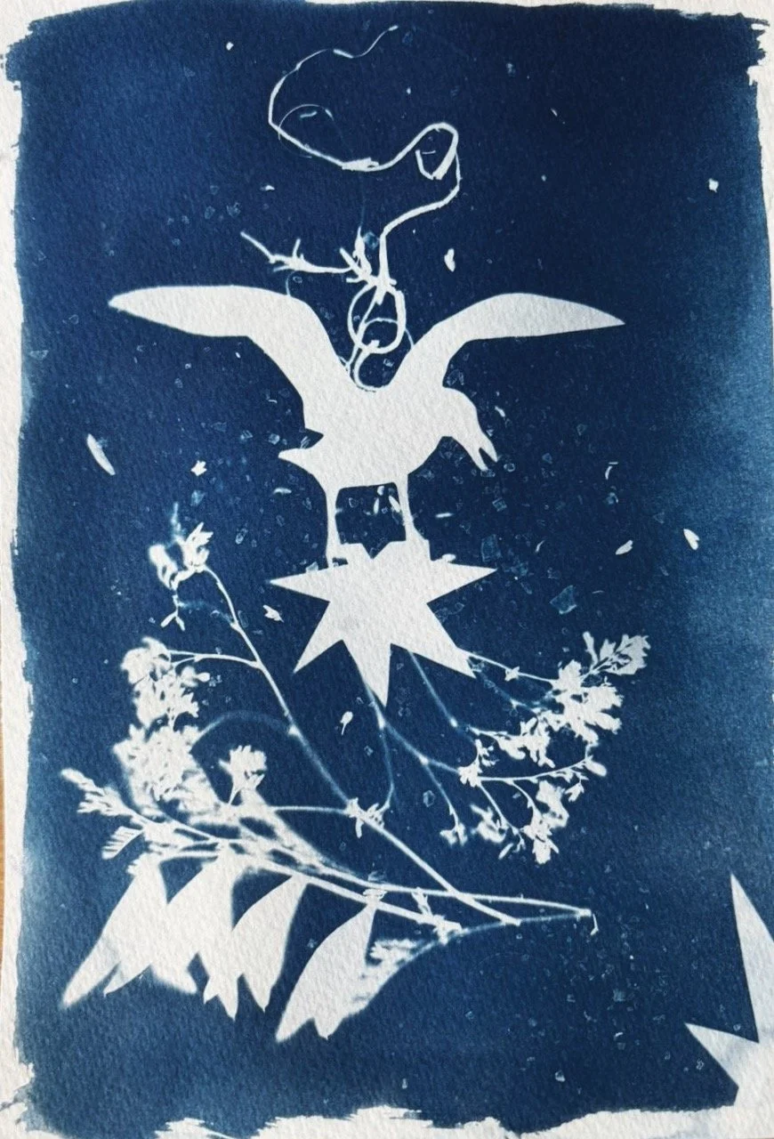 "From the Sky" // Cyanotype // 2026