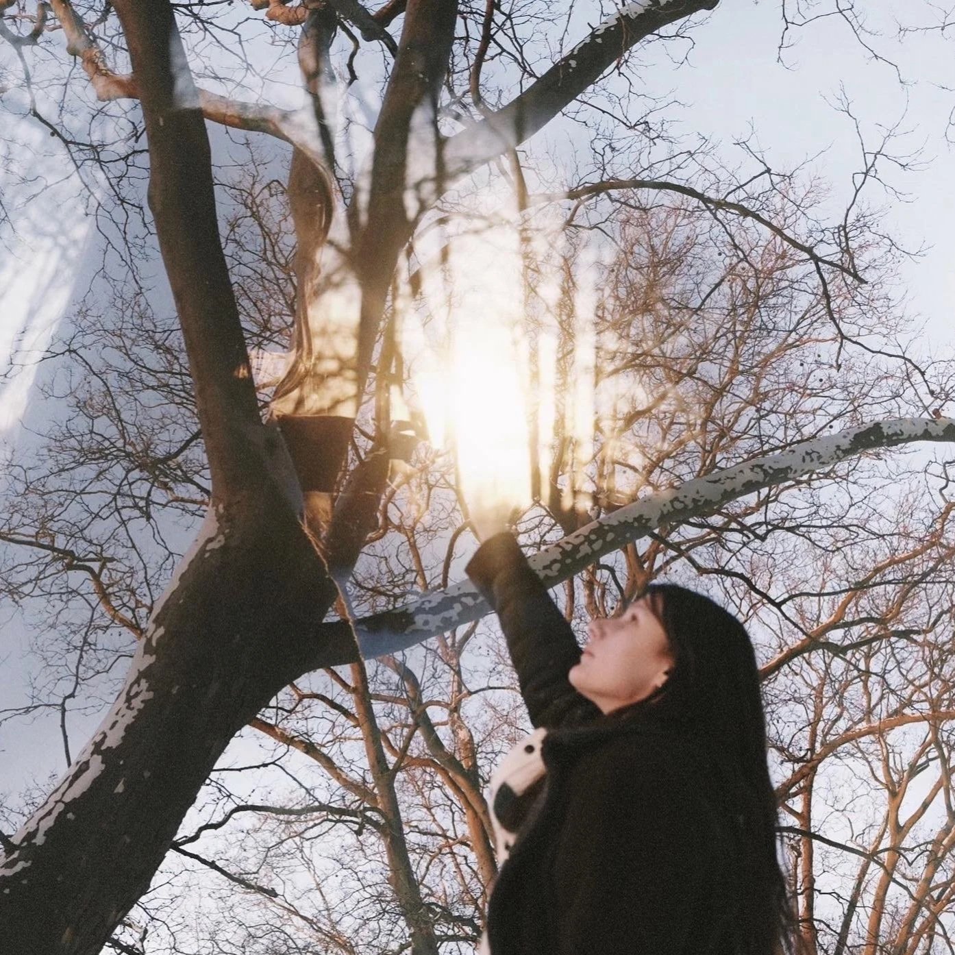 Photography & Collage