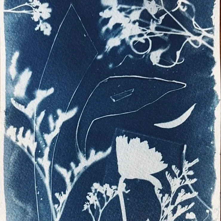 Cyanotype & Print