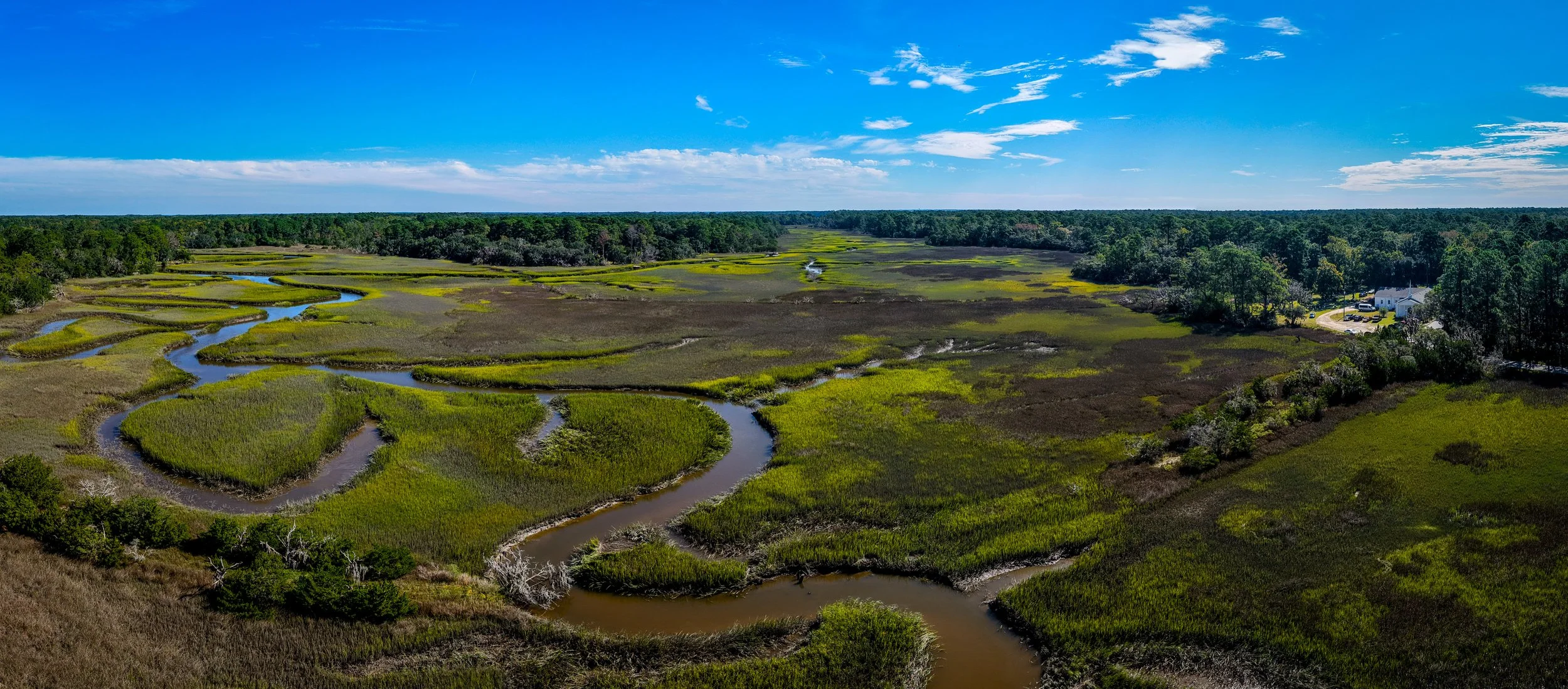 🌿 The Breathing Heart of the Lowcountry 🌿
